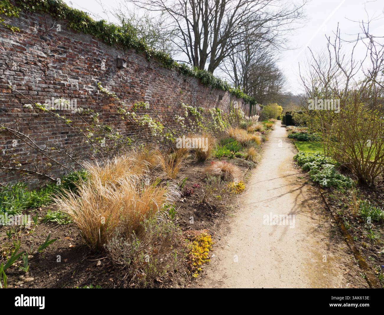 Helmsley Wall Garden Spring Stockfoto