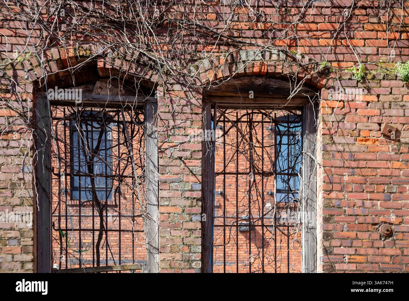 Montgomery, Alabama - Fenster in der Wand eines alten Backsteingebäudes. Stockfoto