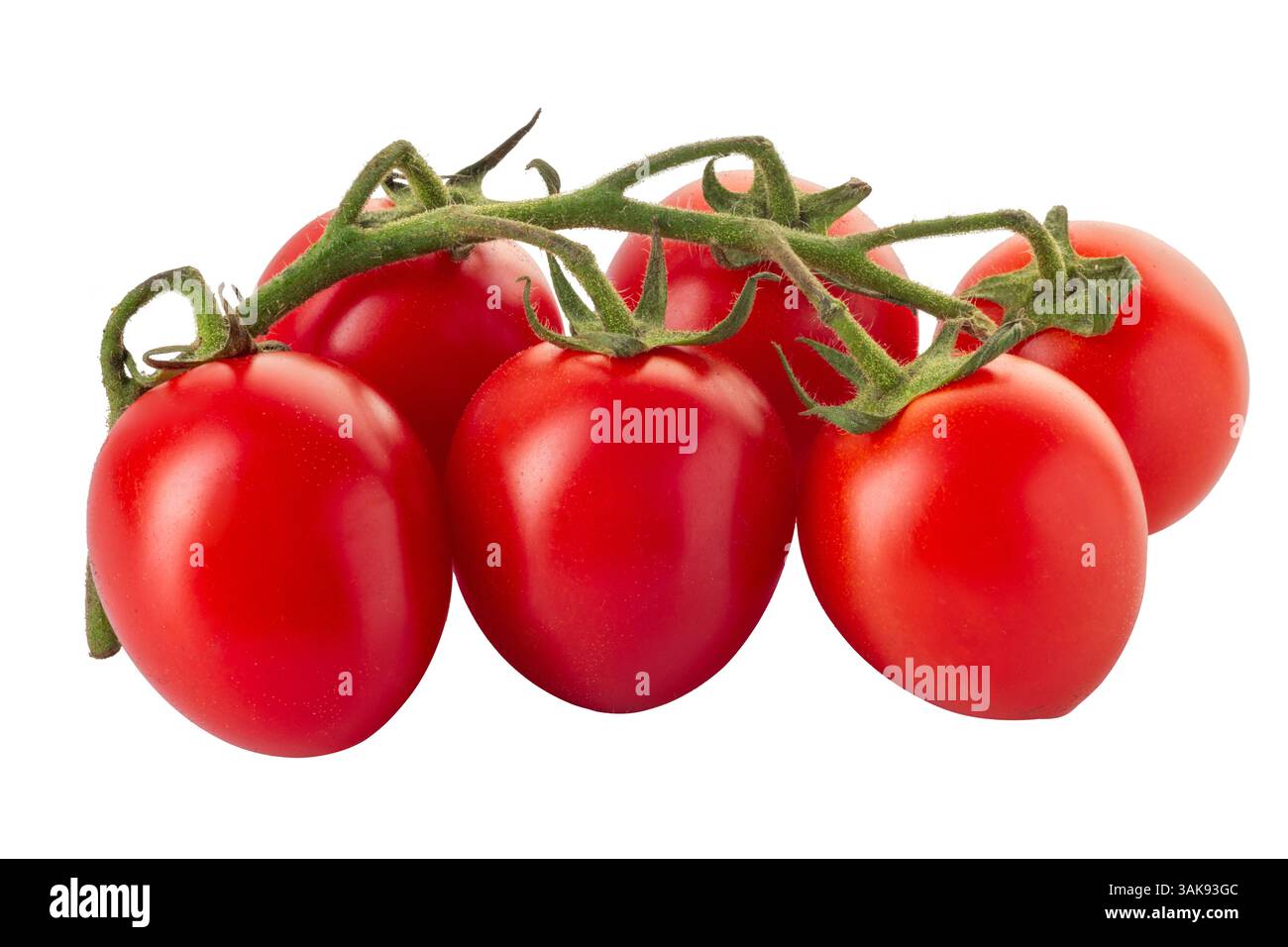 Geclusterte Piccadilly-Tomaten, Kirschtomaten isoliert auf weiß mit Schnittpfad im Preis inbegriffen Stockfoto