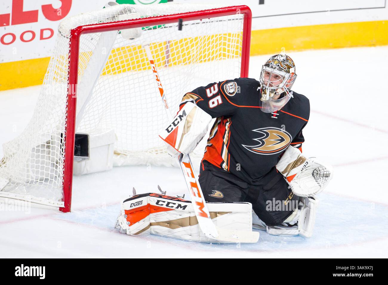 20. Oktober 2016: John Gibson (36) ist der Puck, der während des NHL-Spiels zwischen den Anaheim Ducks und Philadelphia Flyers im Well Fargo Center in Philadelphia, Pennsylvania vorbeifliegt. Die Anaheim Ducks gewannen mit 3:2. Christopher SzagolaCal Sport Media (Kreditbild: &Copy; Chris Szagola/CSM via ZUMA Wire) Stockfoto