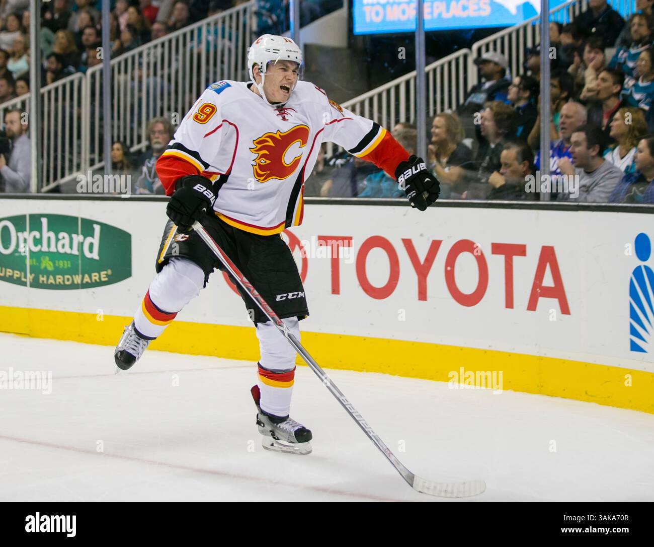 3. November 2016: Matthew Tkachuk (19) feiert das Tor im NHL-Hockeyspiel zwischen den Calgary Flames und den San Jose Sharks im SAP Center in San Jose, CA. Die Sharks verloren gegen die Flames mit 3:2. Damon Tarver/Cal Sport Media (Kreditbild: &Copy; Damon Tarver/CSM via ZUMA Wire) Stockfoto