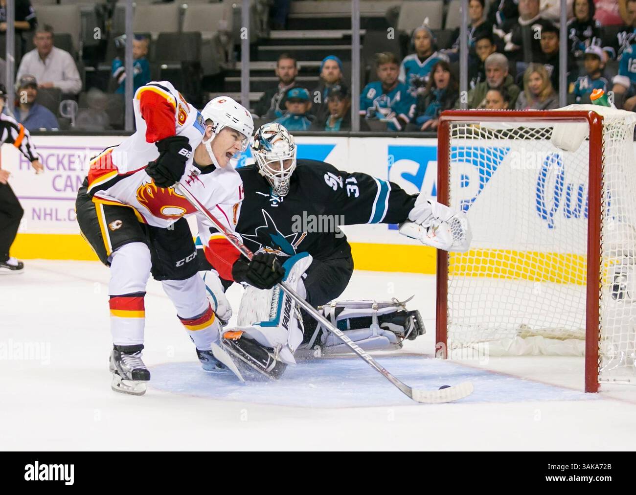 3. November 2016: Matthew Tkachuk (19) bringt den Titelsieger an den San Jose Sharks Torwart Martin Jones (31) während des NHL-Eishockeyspiels zwischen den Calgary Flames und den San Jose Sharks im SAP Center in San Jose, CA. Die Haie verloren gegen die Flames 3:2. Damon Tarver/Cal Sport Media (Kreditbild: &Copy; Damon Tarver/CSM via ZUMA Wire) Stockfoto