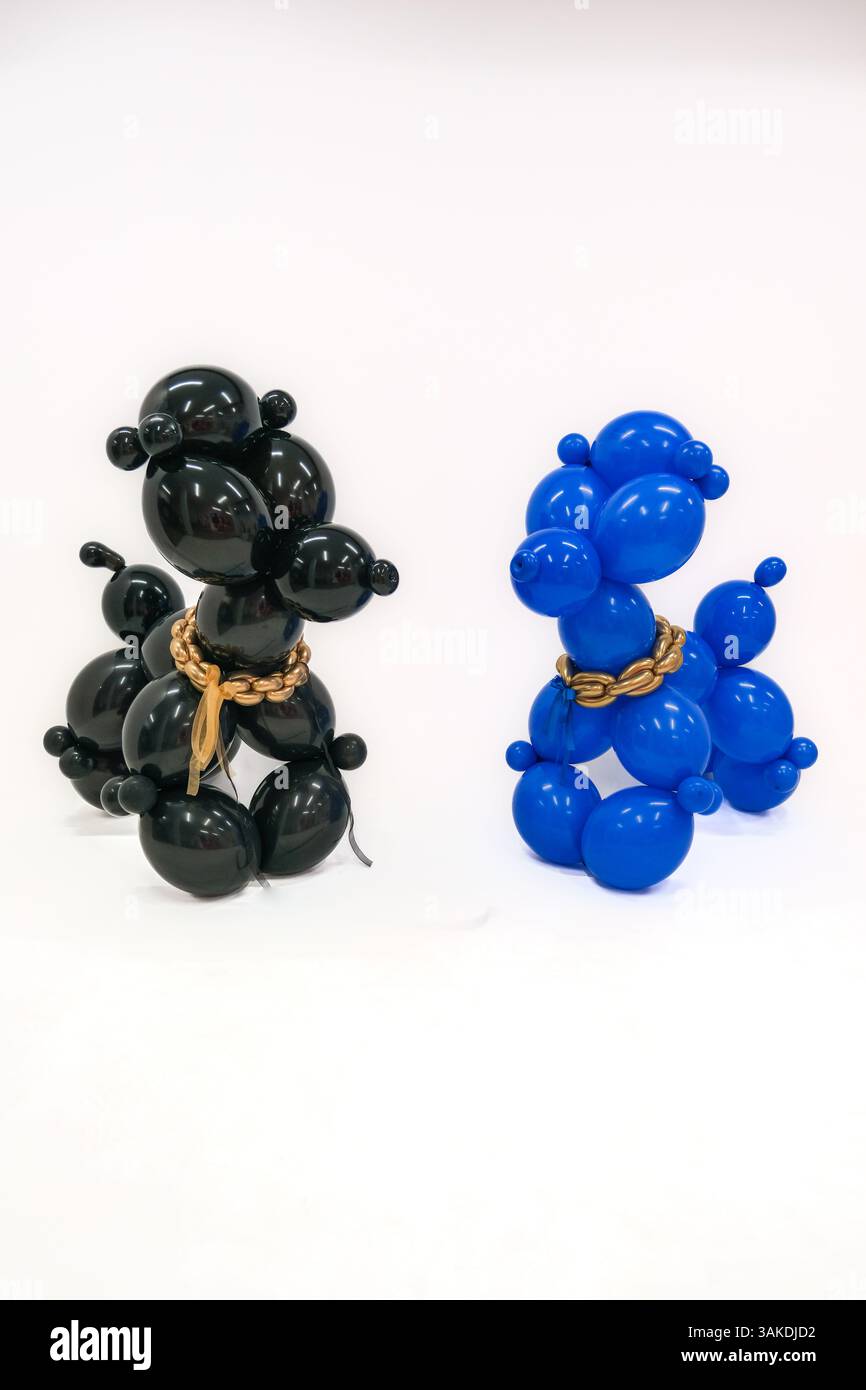 Zwei Pudel aus Ballons, einer schwarz und einer blau. Die Ballons sind mit einer goldenen Kette zusammengebunden Stockfoto