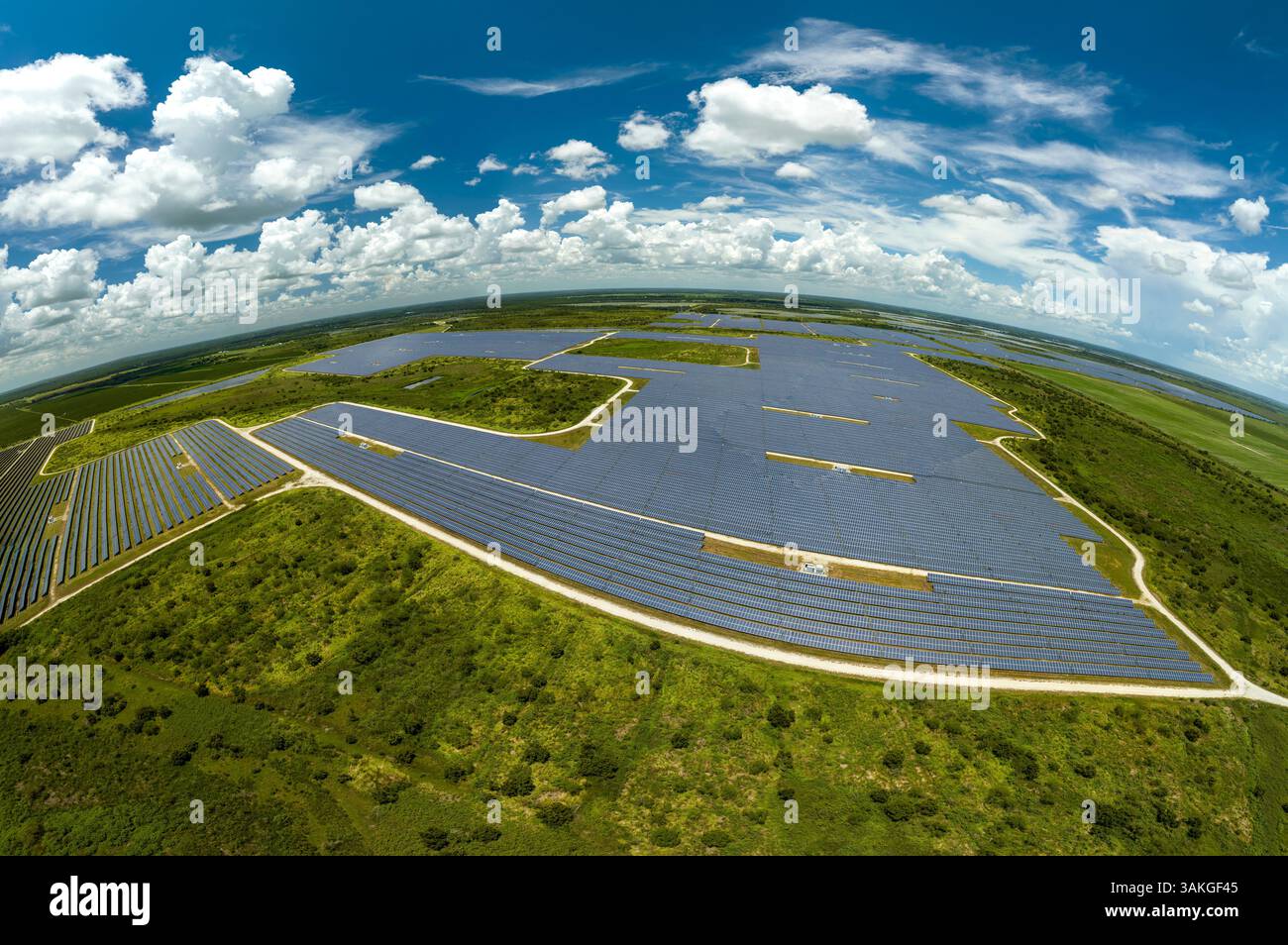 Luftaufnahme eines großen nachhaltigen Elektrokraftwerks mit vielen Reihen von Photovoltaik-Solarzellen zur Erzeugung sauberer elektrischer Energie. Erneuerbar Stockfoto