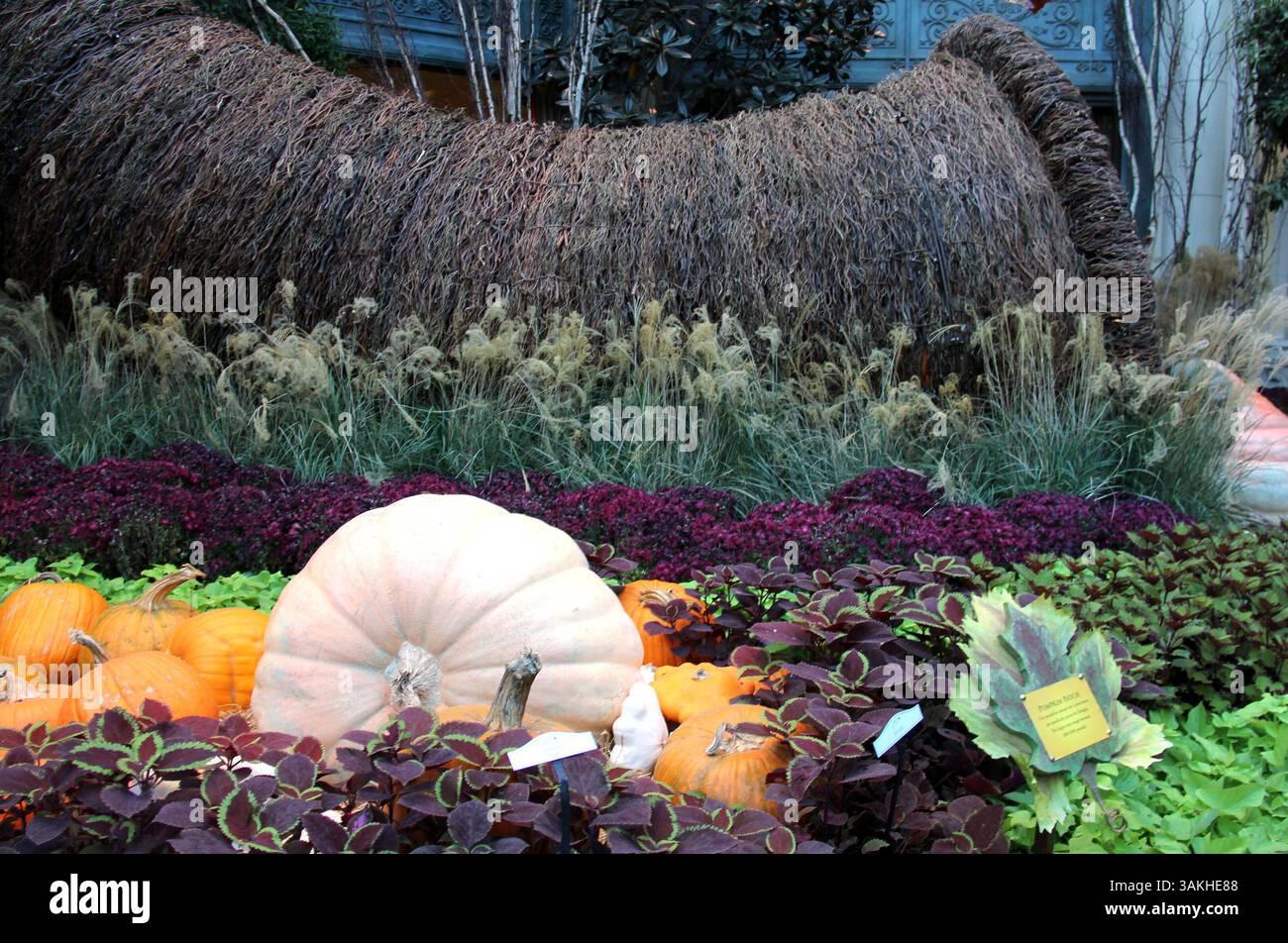 Das Conservatory and Botanical Gardens im Bellagio Resort in Las Vegas Samstag, 30. November 2013. Es ist kostenlos und 365 Tage im Jahr geöffnet, wo rund 140 Gartenbauunternehmen ihr Aussehen mehrmals im Jahr gestalten und ändern, um der Saison gerecht zu werden. (Kreditbild: © Barry Sweet/ZUMAPRESS.com) Stockfoto