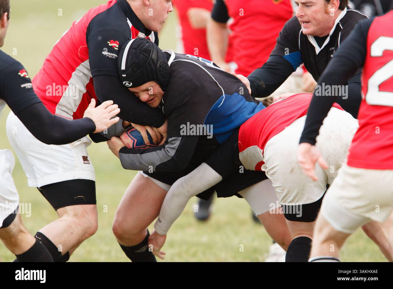 Männer-Rugby-Match-Action beim jährlichen Cherry Blossom Rugby Turnier. Nur redaktionelle Verwendung. Kommerzielle Nutzung verboten. Stockfoto