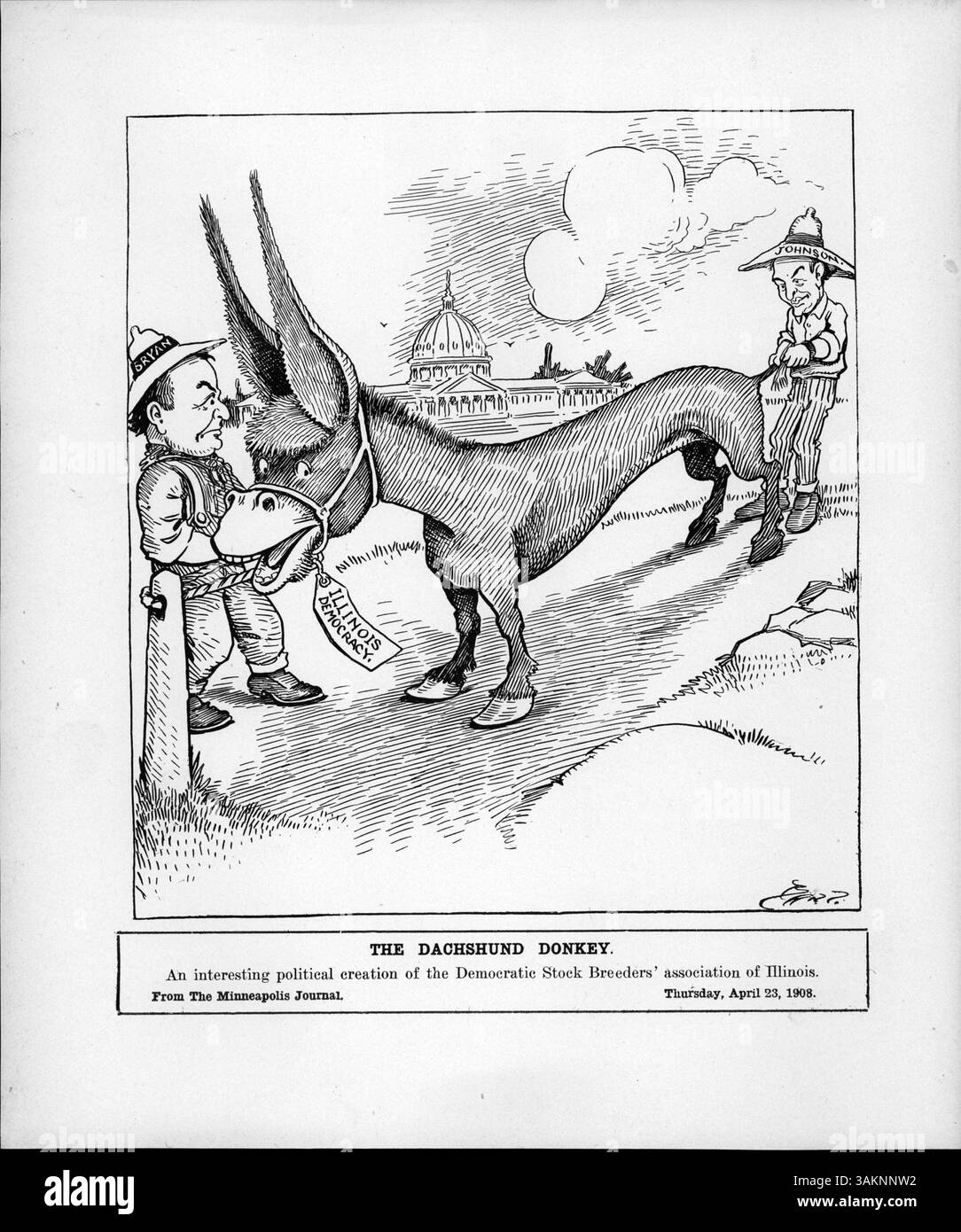 Ein politischer Cartoon der Democratic Stock Breeder's Association of Illinois, in dem Johnson und Bryan auf beiden Seiten des Illinois Democracy Esels ziehen. Das Bild zeigt die Spannungen rund um den Kongress in Springfield, Illinois, wo man davon ausging, dass die Anhänger von Johnson Bryan's Unterstützung stören würden. Stockfoto