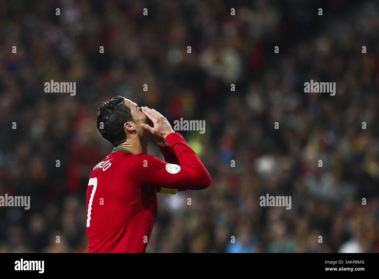 15. November 2013 - Lissabon, Portugal - Dateifoto des portugiesischen Fußballspielers Cristiano Ronaldo während eines Spiels zwischen Portugal und Schweden im Luz-Stadion in Lissabon am 15. November 2013. Cristiano Ronaldo ist zusammen mit dem Argentinier Lionel Messi und dem französischen Franck Ribery einer der drei Kandidaten, der bei der FIFA Ballon d'Or-Gala am Montag, 13. Januar 2014 ausgezeichnet wird. (Foto: © Pedro Nunes/ZUMAPRESS.com) Stockfoto
