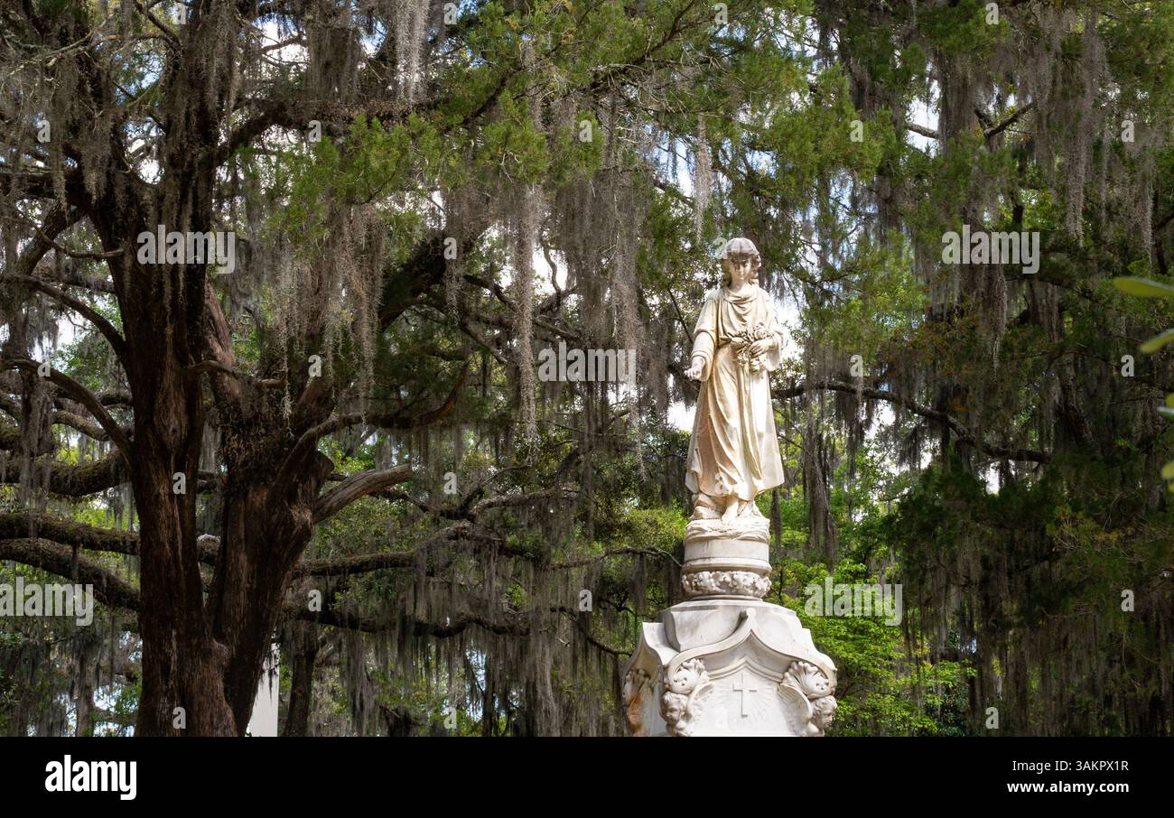 Bonaventure Cemetery, Savannah, Georgia, wurde in Mitternacht im Garten des Guten und Bösen vorgestellt und gilt als einer der schönsten Friedhöfe der Welt. Stockfoto