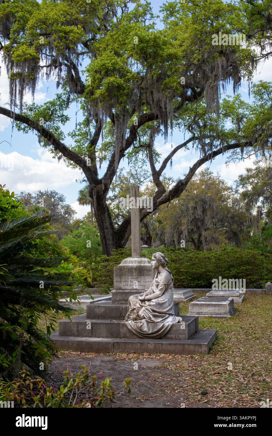 Bonaventure Cemetery, Savannah, Georgia, wurde in Mitternacht im Garten des Guten und Bösen vorgestellt und gilt als einer der schönsten Friedhöfe der Welt. Stockfoto