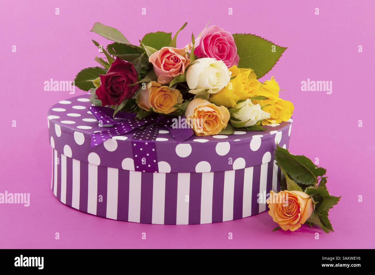Blumenstrauß viele bunte Rosen und ein Geburtstagsgeschenk auf Rosa Stockfoto