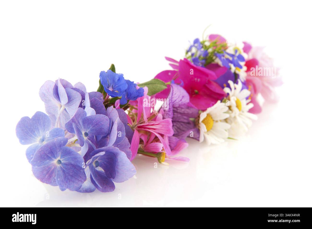 Kranz aus Blumen im Garten isoliert auf weiß Stockfoto