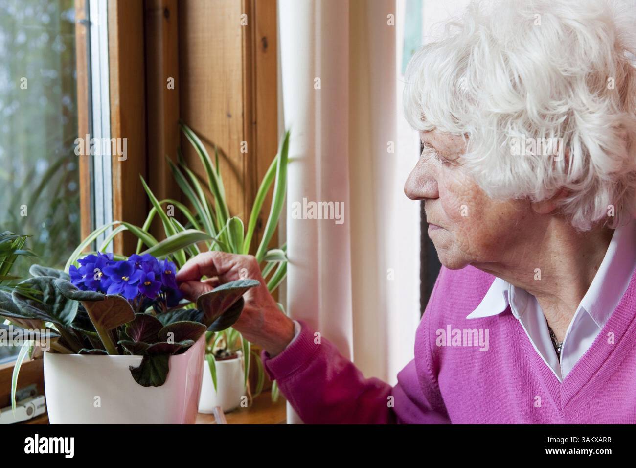 Ältere einsame Frau kümmert sich um die Blumen Stockfoto