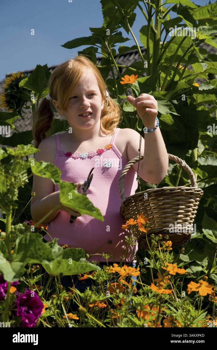 Mädchen ist Blumen im Garten pflücken. Stockfoto