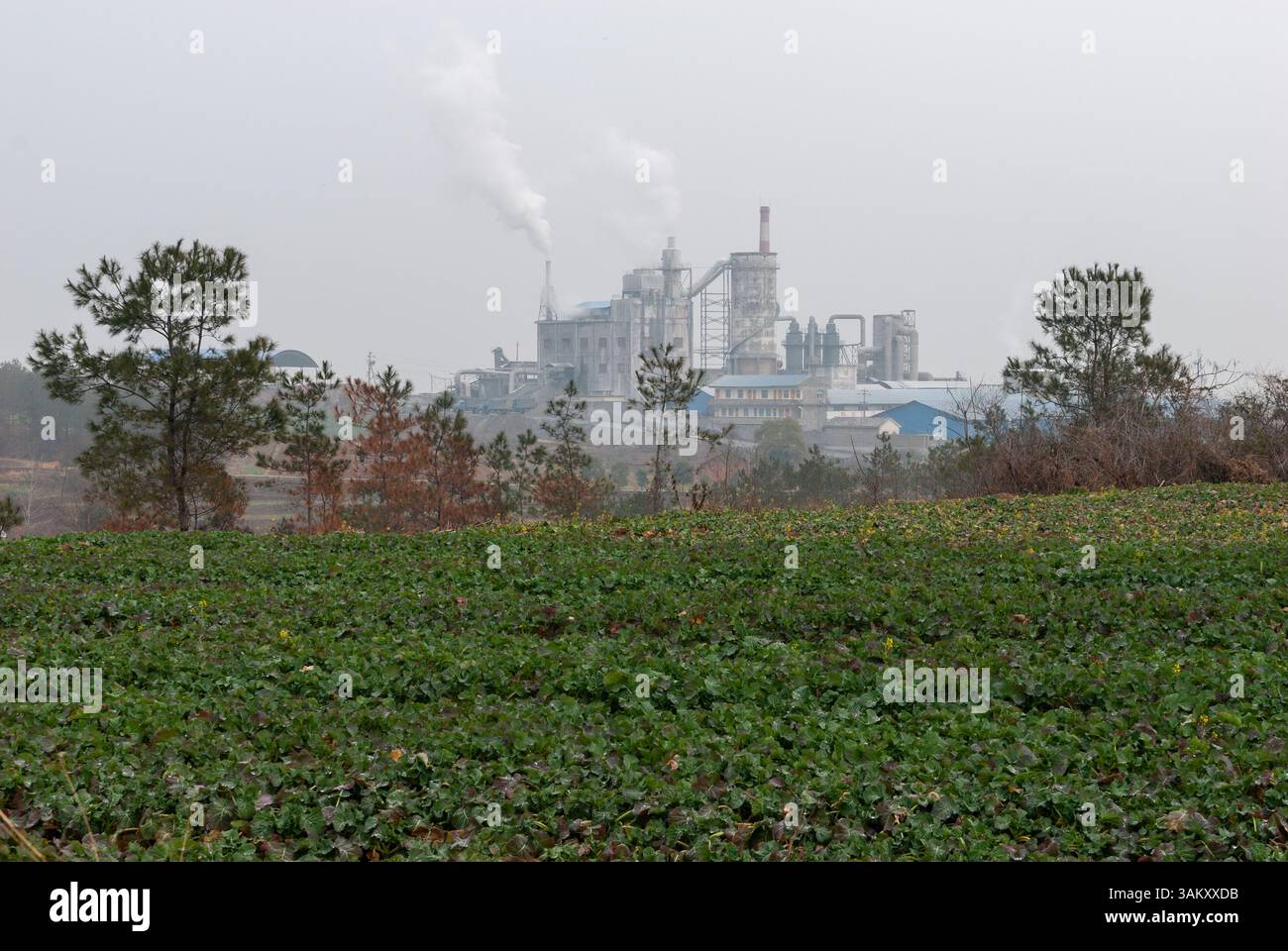 Chemiefabrik im Herzen der chinesischen Landschaft, die Rauch über lokalen Kulturen weht. Februar 2009. Stockfoto