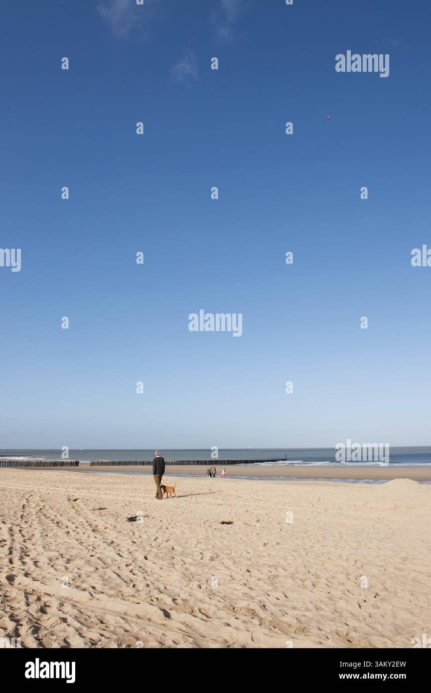 Mann mit Hund Wandern am Strand Stockfoto