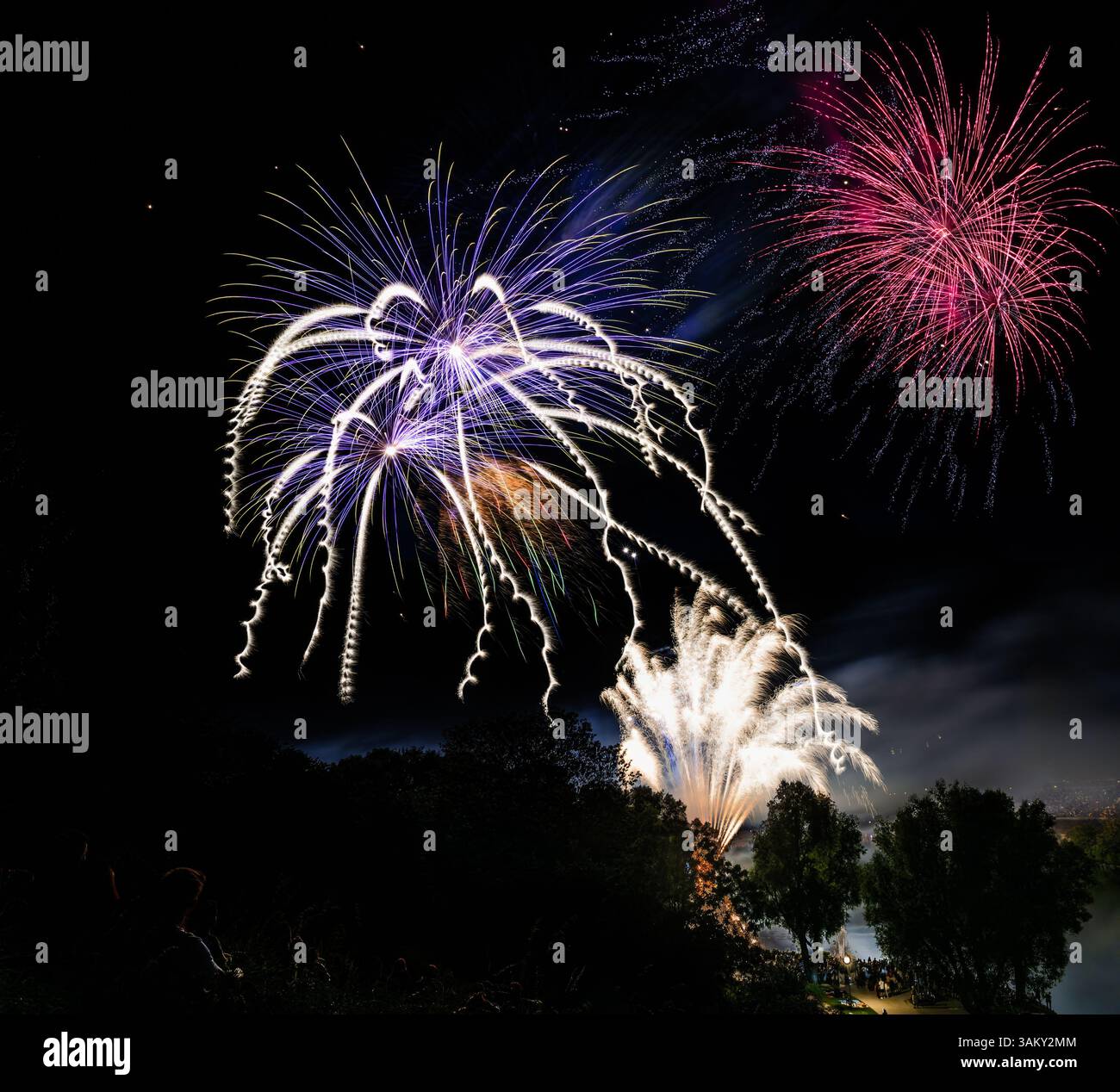 Feuerwerk am Nachthimmel bei einem Festival Stockfoto