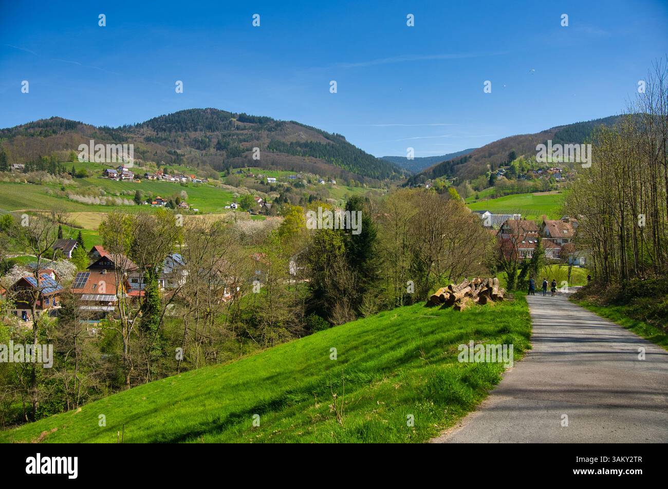 Landschaft rund um die Burgruine Neu-windeck im Schwarzwald in deutschland Stockfoto