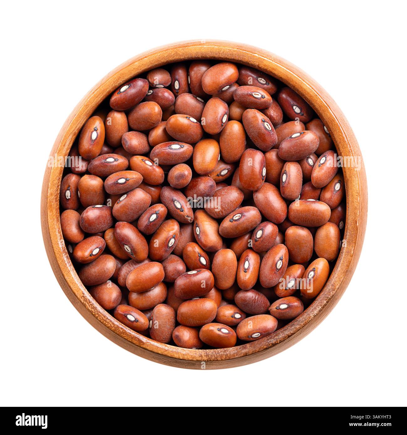 Holländische braune Bohnen in einer Holzschale. Bruine Bonen auf Niederländisch, getrocknete Bohnensorte, Phaseolus vulgaris. Sie sind oval und karamellbraun. Stockfoto