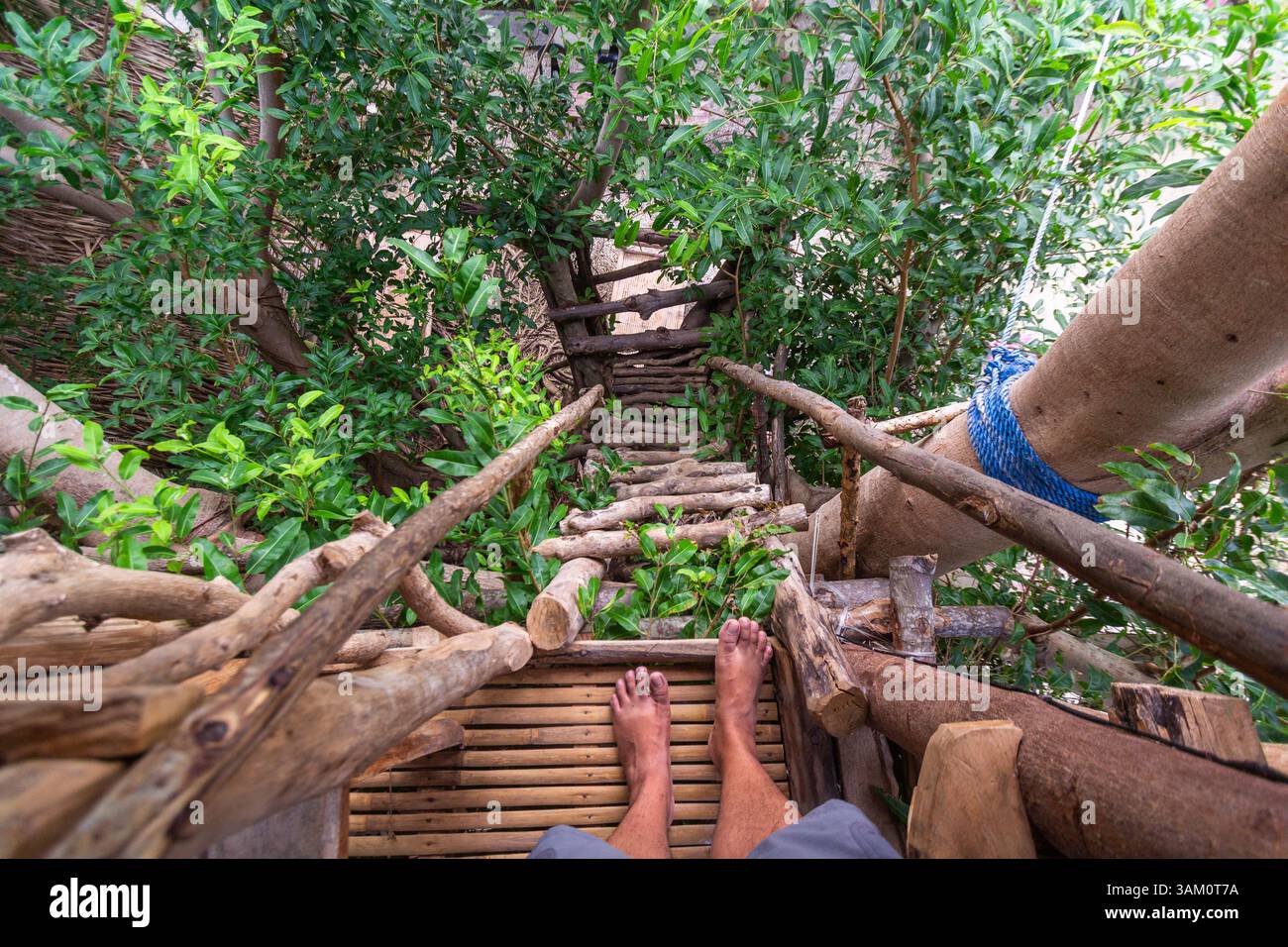 Bambusbaumhaus auf einem Baletenbaum in Isla Gigantes, Iloilo, Philippinen Stockfoto