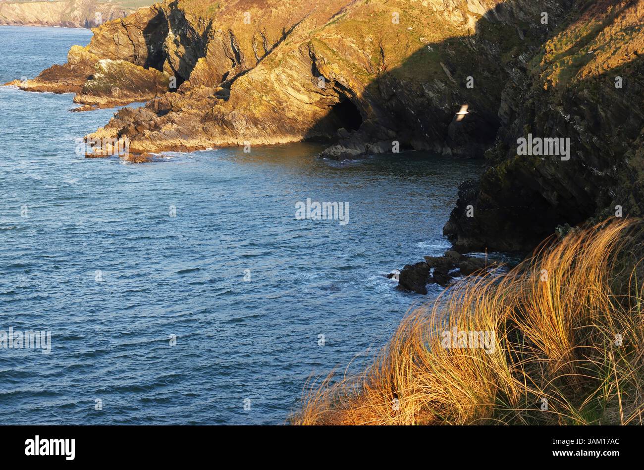 Warmes Sonnenlicht am frühen Abend am späten Nachmittag auf den dramatischen Klippen von Newquay, Nordküste von Cornwall, England, Großbritannien Stockfoto