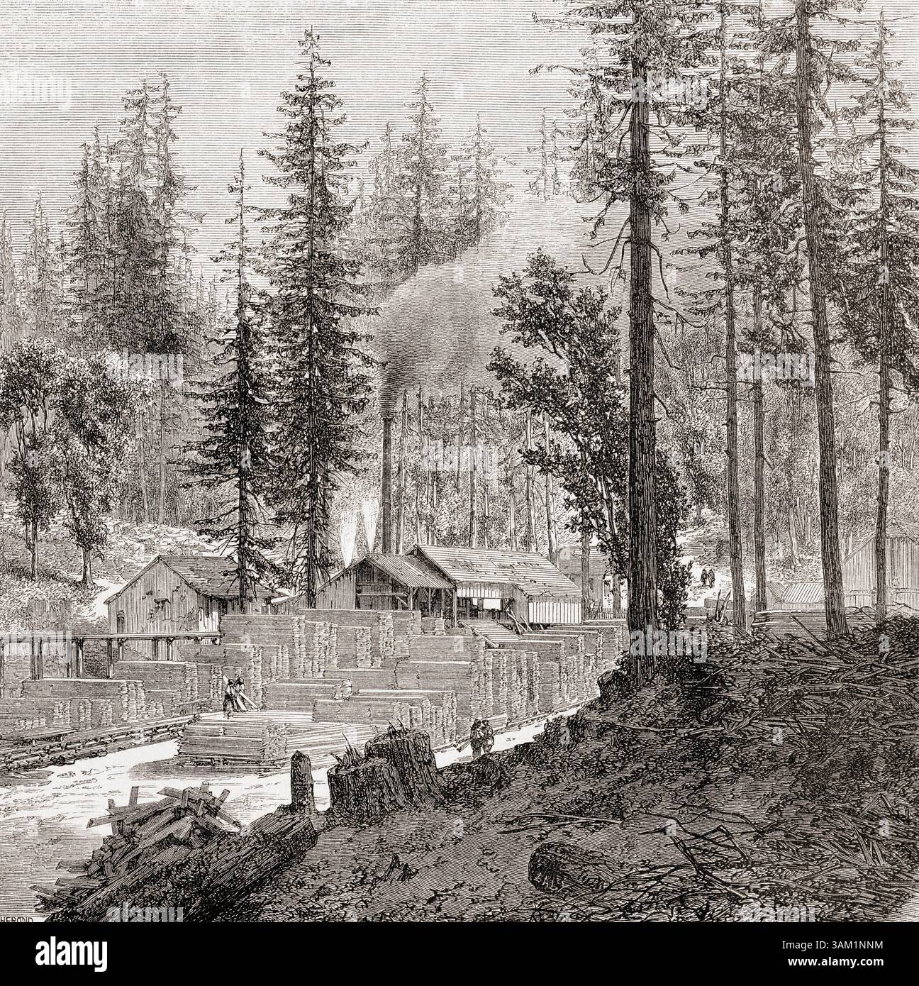 Mechanisches Sägewerk in einem Tannenwald, Kalifornien, 1859. Von Voyage en Californie oder Voyage to California von L. Simonin, 1859. In Le Tour du Monde, veröffentlicht 1862. Stockfoto
