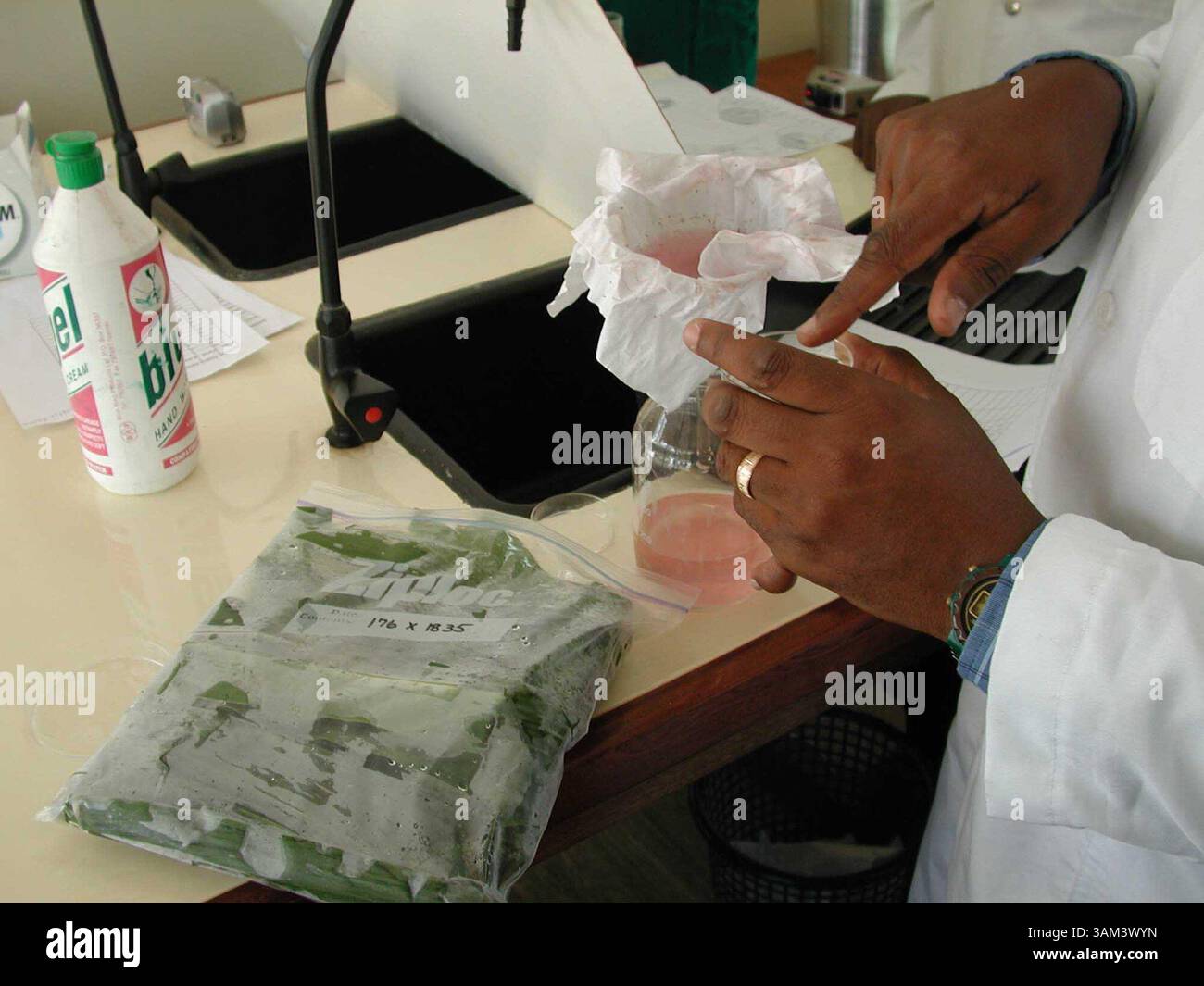 7. Januar 2003 - USA - KRT WORLD NEWS STORY SLUGGED: AFRICA-MODIFIEDFOODS KRT FOTO VON SUDARSAN RAGHAVAN/KRT (7. Januar) Dr. Stephen Mugo testet Bio-entwickelte Maisblätter von einem mexikanischen landwirtschaftlichen Institut, um zu sehen, ob veränderte Gene die schädlichen Auswirkungen des Stammbohrers stoppen können, ein Schädling, der ganze Ernten in Kenia zerstört. (lde) 2003 (Kreditbild: © Sudarsan Raghavan/mct/ZUMAPRESS.com) Stockfoto