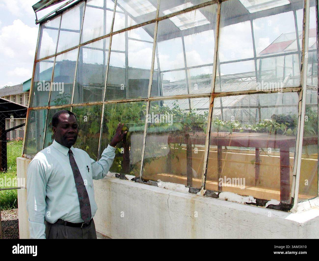 7. Januar 2003 - USA - KRT WORLD NEWS STORY SLUGGED: AFRICA-MODIFIEDFOODS KRT FOTO VON SUDARSAN RAGHAVAN/KRT (7. Januar) der Wissenschaftler Benjamin Odhiambo steht neben einem Gewächshaus, in dem am Kenya Agricultural Research Institute in Nairobi Bio-technische Kulturen angebaut werden. (lde) 2003 (Kreditbild: © Sudarsan Raghavan/mct/ZUMAPRESS.com) Stockfoto