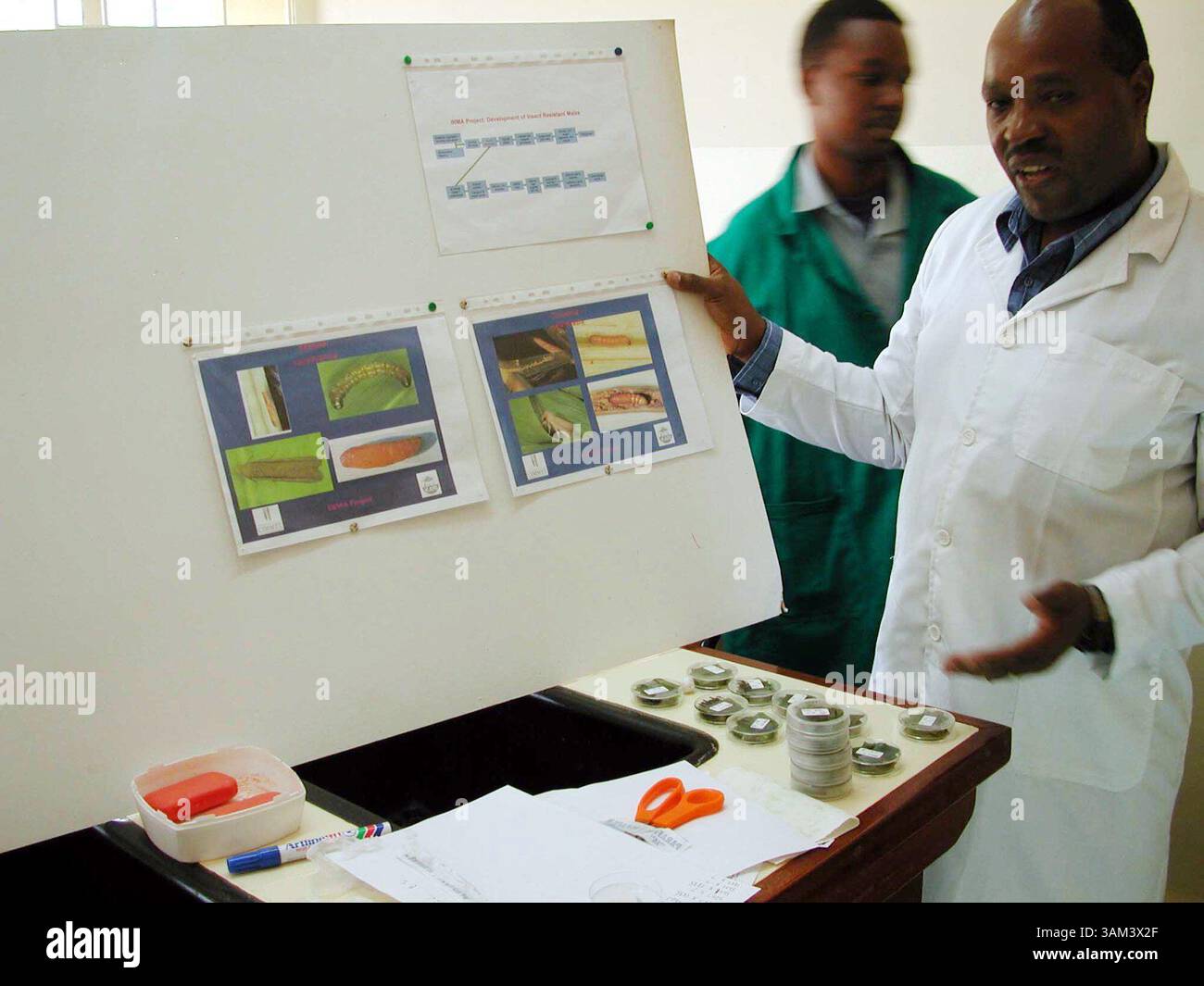 7. Januar 2003 - USA - KRT WORLD NEWS STORY SLUGGED: AFRICA-MODIFIEDFOODS KRT FOTO VON SUDARSAN RAGHAVAN/KRT (7. Januar) Dr. Stephen Mugo zeigt Bilder des Stängelbohrers, eines Schädlings, der ganze Maisernten in Kenia zerstört. Mugo ist einer von vielen afrikanischen Wissenschaftlern, die mit biotechnischen Lebensmitteln experimentieren, um heitere Pflanzen anzubauen, die Hunger und Unterernährung reduzieren. (lde) 2003 (Kreditbild: © Sudarsan Raghavan/mct/ZUMAPRESS.com) Stockfoto