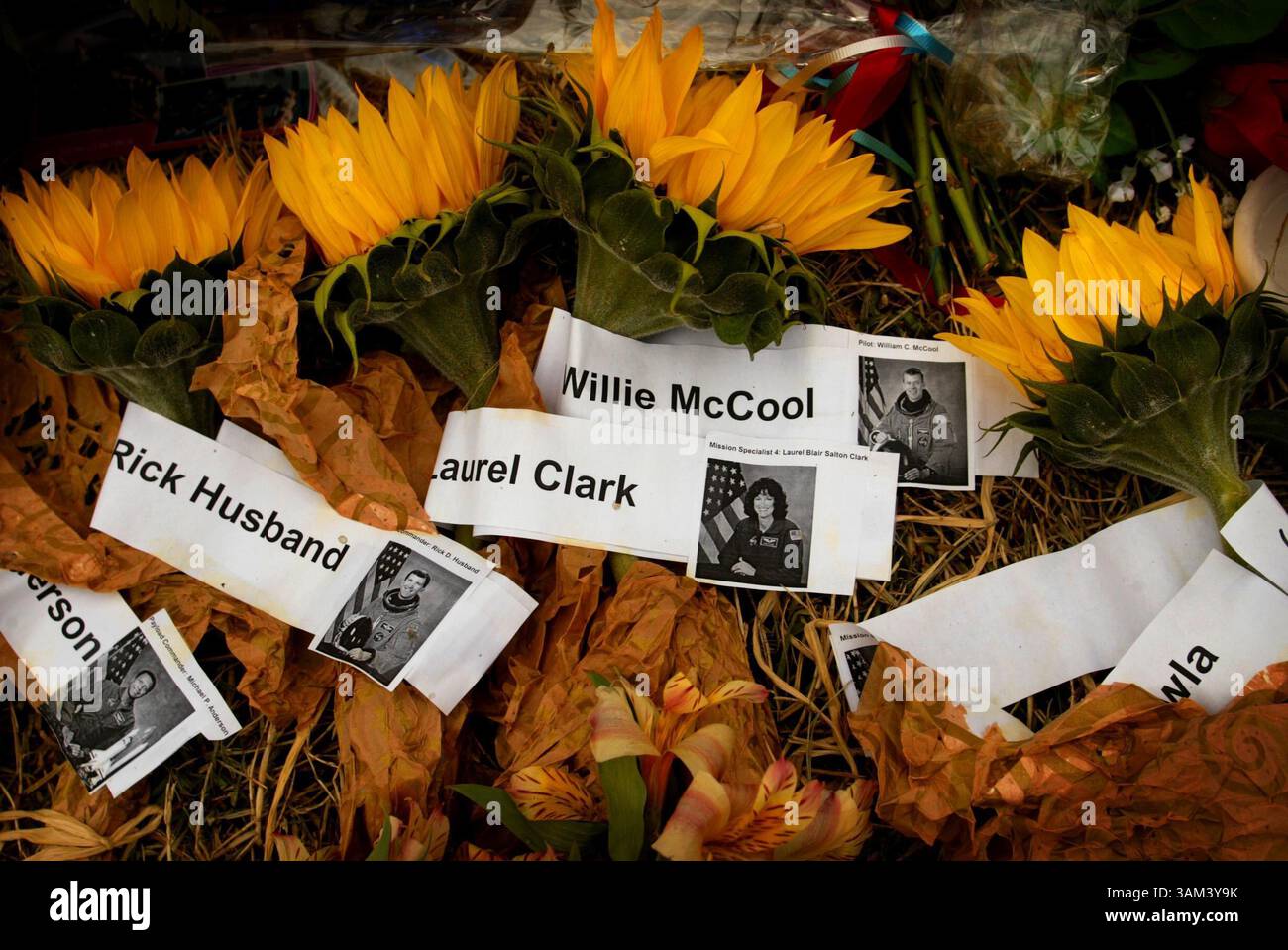 7. Februar 2003 - USA - KEINE MAGIE, KEIN VERKAUF -- KRT US NEWS STORY SCHLEPPTE: SHUTTLE KRT FOTO VON BARBARA DAVIDSON/DALLAS MORNING NEWS (7. Februar) HOUSTON, TX -- Blumen liegen in einer Gedenkstätte für die Crew des Space Shuttle Columbia im Johnson Space Center in Houston, Texas, am 7. Februar 2003. (gsb) 2003 (Kreditbild: © Michael Ainsworth/mct/ZUMAPRESS.com) Stockfoto