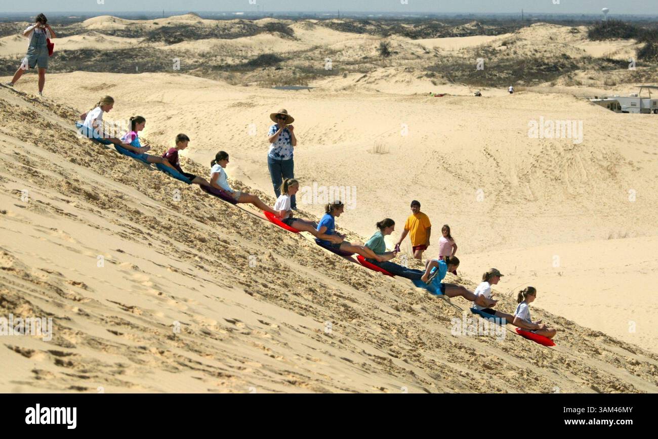 19. März 2004 - USA - KEINE MAGIE, KEIN VERKAUF - KRT LIFESTYLE STORY SLUGGED: SANDSURFING KRT FOTO VON TOM FOX/DALLAS MORNING NEWS (22. April) Mitglieder der Girl Scout Truppe 1517 in College Station, Texas, machen sich auf eine Fahrt auf einem der größten Hügel im Monahans Sandhills State Park in West Texas. (Mvw) 2004 (Bild: © Tom Fox/mct/ZUMAPRESS.com) Stockfoto