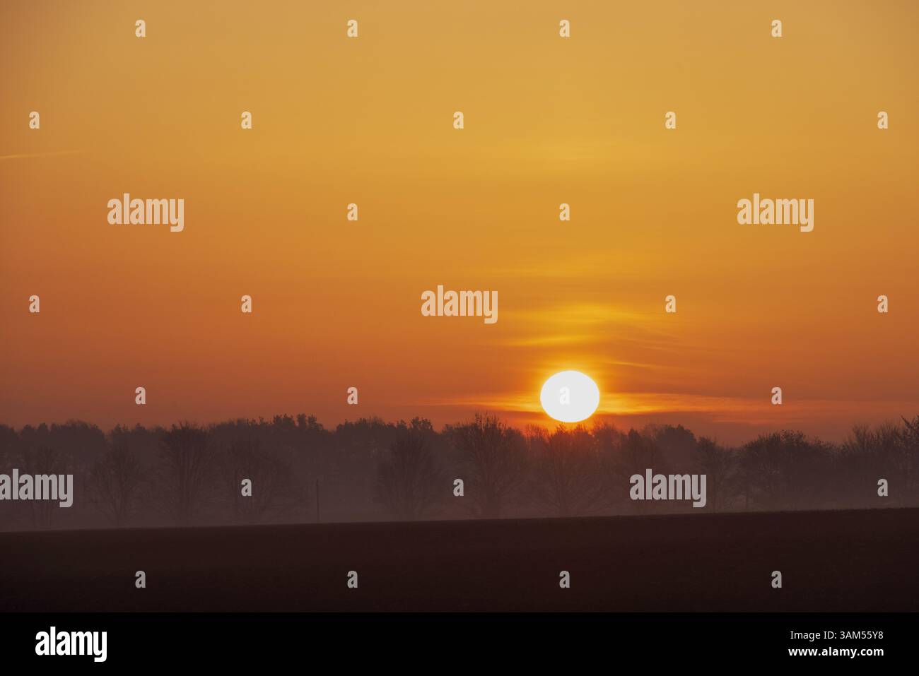 Norfolk Sonnenaufgang Orange Glow Morgenhimmel nebelige Bäume Silhouette Stockfoto