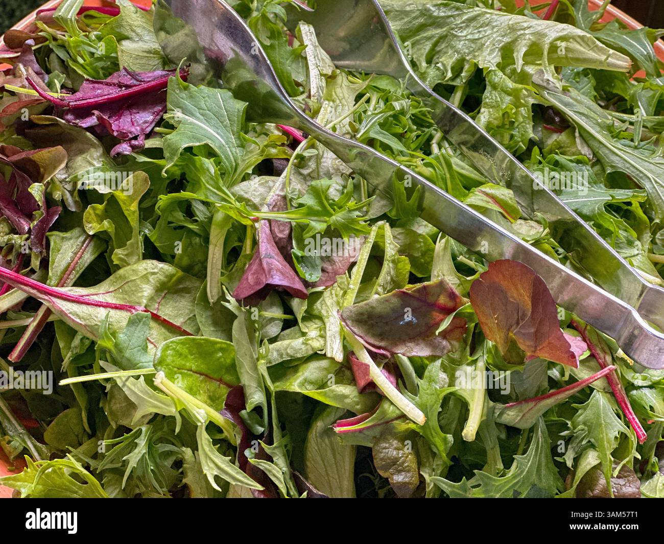 Nahansicht eines gemischten Salats auf dem Buffet eines Restaurants Stockfoto