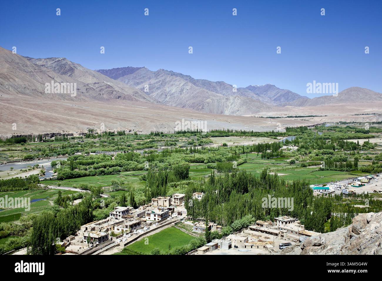 Blick vom Kloster Spituk auf das bewässerte Ackerland und die Pappelhaine von Ladakh, vor der rauen, hochgelegenen Wüstenlandschaft. Stockfoto