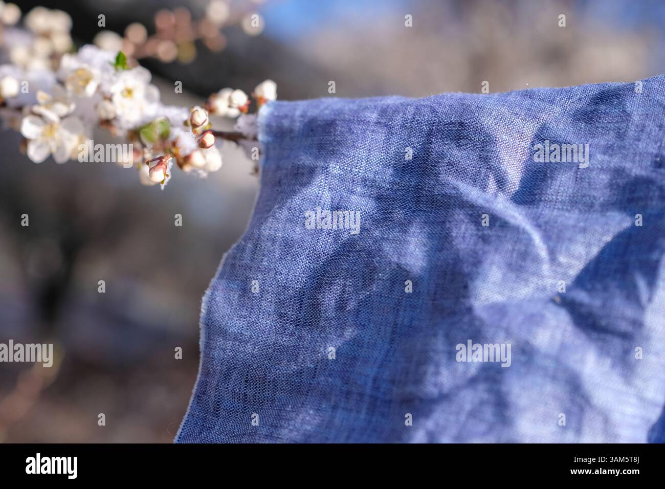 Заголовок zartes blaues Leinengewebe in Frühlingsstimmung. Sanfte Berührung, Nachhaltigkeit und langsames Leben. Stockfoto