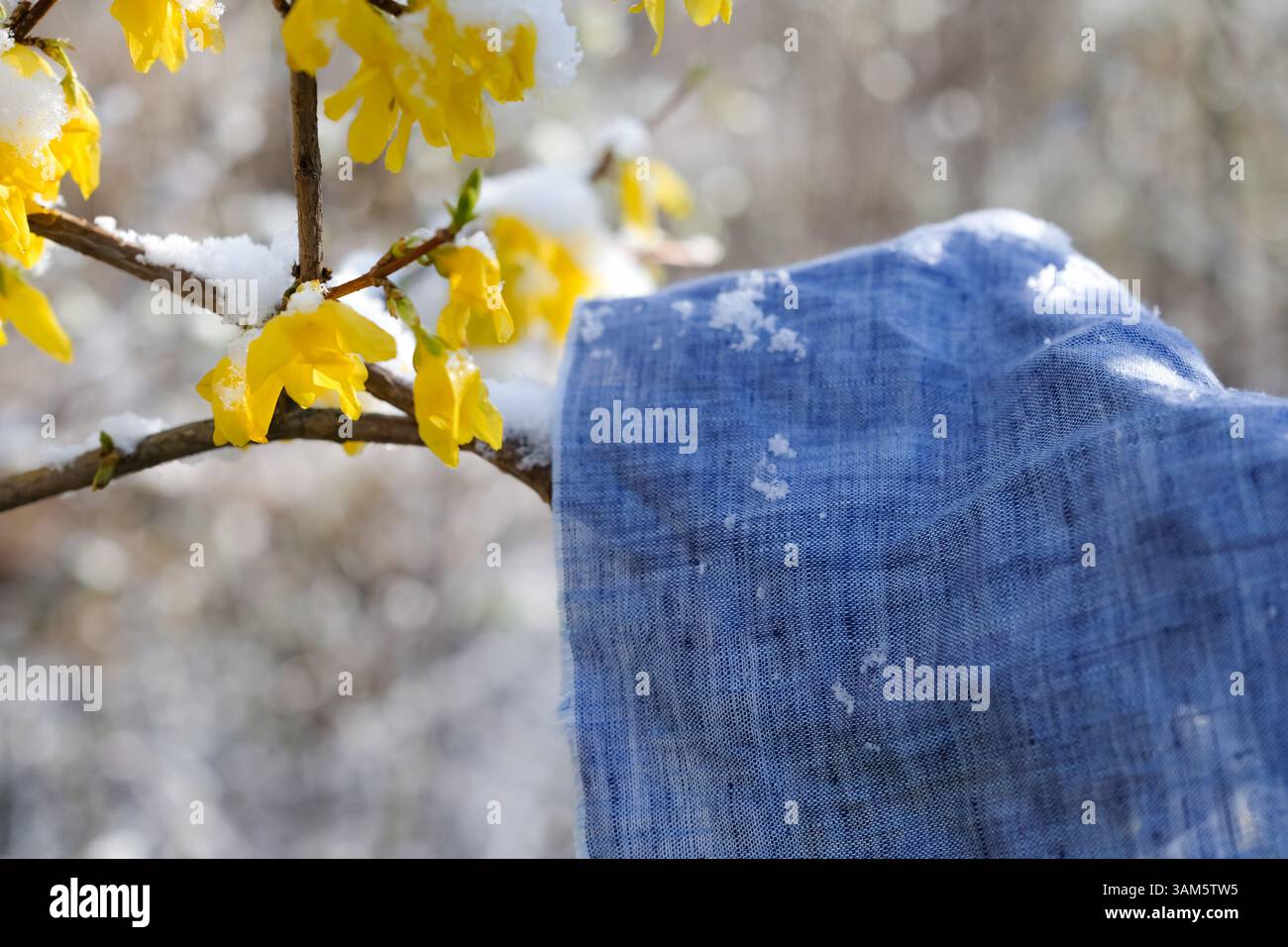 Zarter und luftiger Natur des blauen Leinenstoff in einem Frühlingsstil. Sanfte Berührung, Nachhaltigkeit und langsames Leben. Naturfasern, Mode. Stockfoto