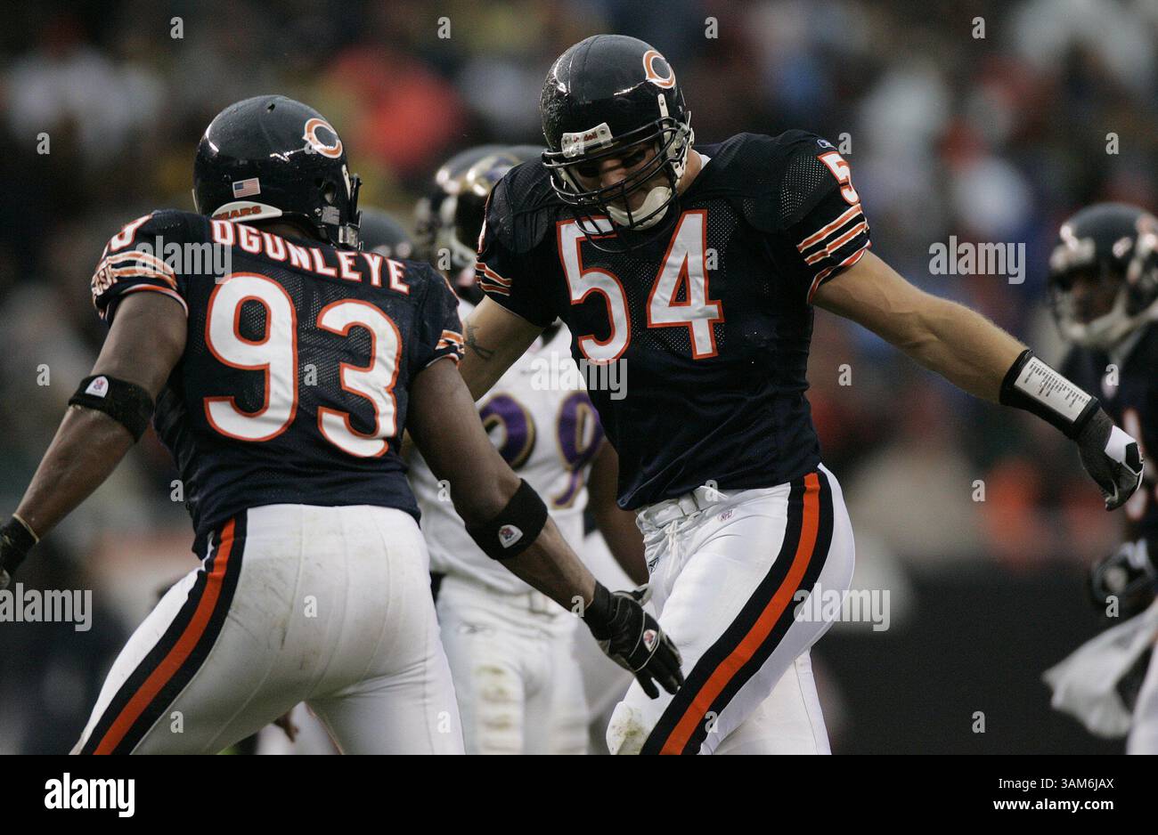 23. Oktober 2005 - USA - KRT SPORTS STORY SLUGGED: FBN-RAVENS-BEARS KRT FOTO VON JIM PRISCHING/CHICAGO TRIBUNE (23. Oktober) CHICAGO, IL - Chicago Bears Defensive End Adewale Ogunleye (93) und Linebacker Brian Urlacher (54) feiern in der zweiten Halbzeit einen Sack von Baltimore Ravens Quarterback Anthony Wright. Die Bären besiegten die Ravens mit 10:6. Im Soldier Field in Chicago, Illinois, Sonntag, 23. Oktober 2005. (cdm) 2005 (Bild: © Jim Prisching/mct/ZUMAPRESS.com) Stockfoto
