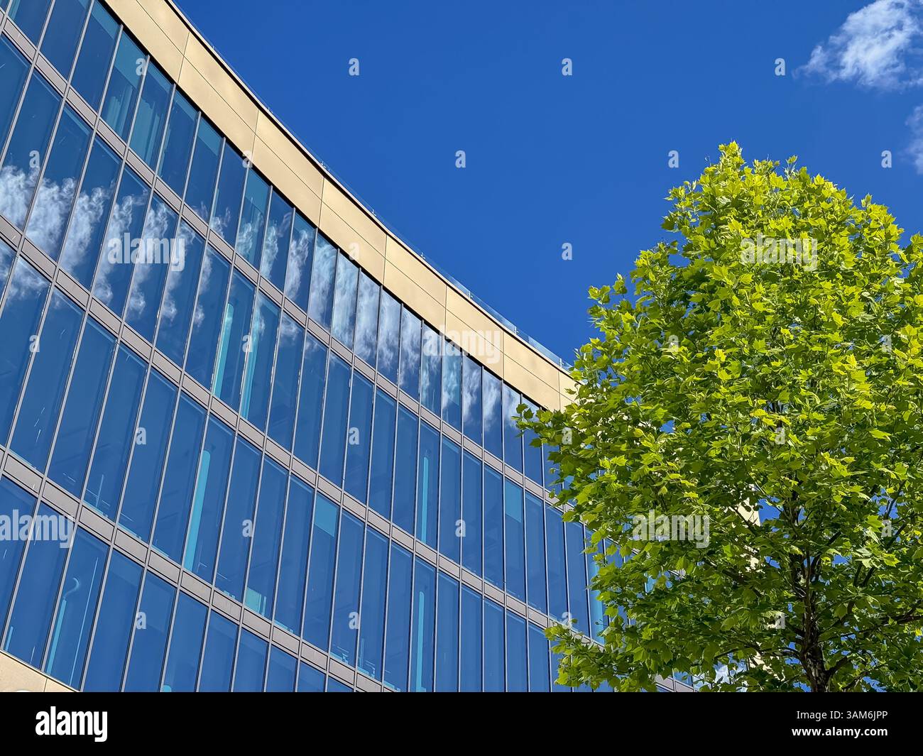 Stadtzentrum Von Uppsala - Stockholm, Schweden - Smartphone-aufgenommenes Stockfoto