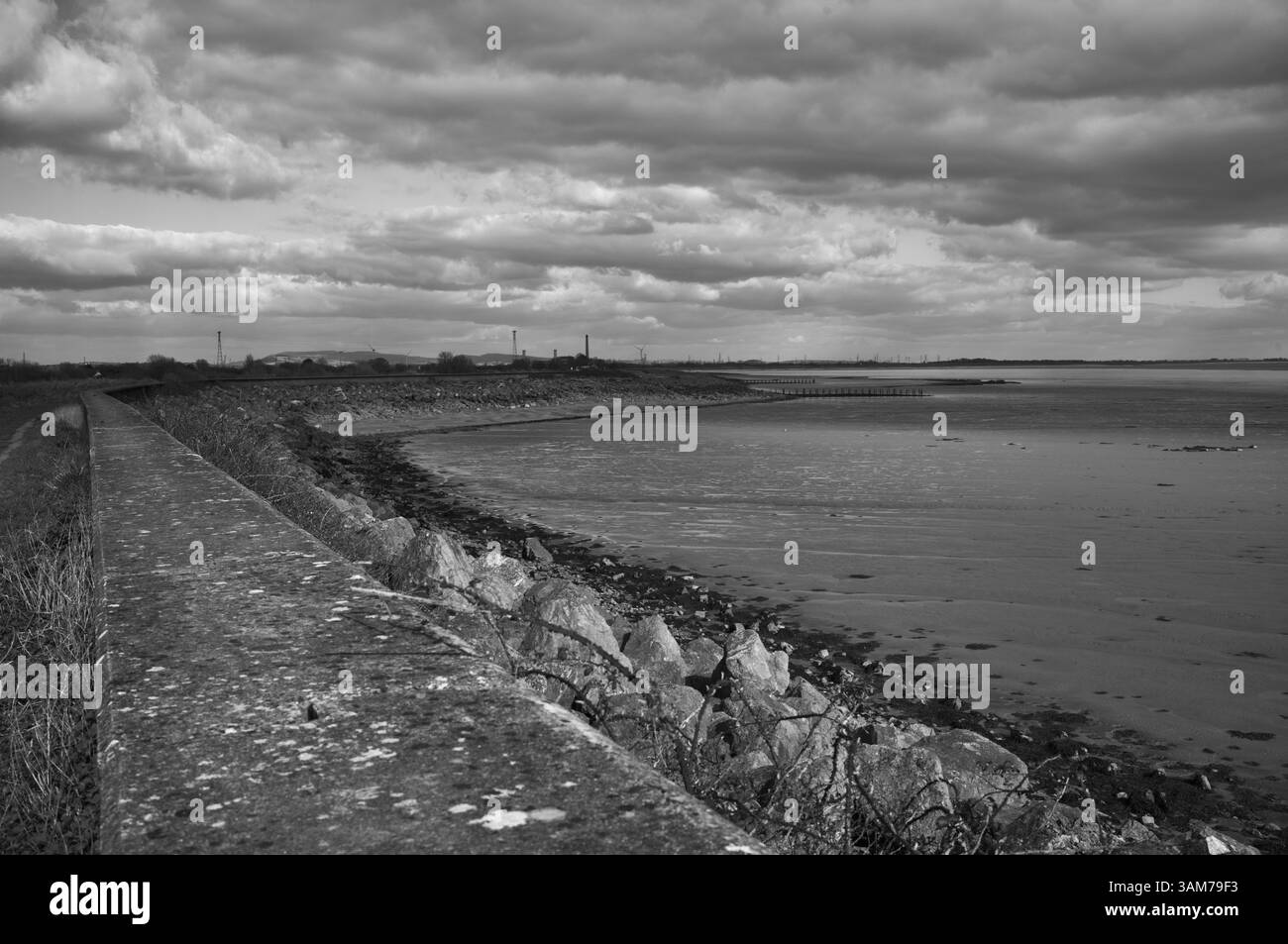Die Seemauer bei St. Brides, mit Blick nach Norden auf die Severn-Mündung. Stockfoto