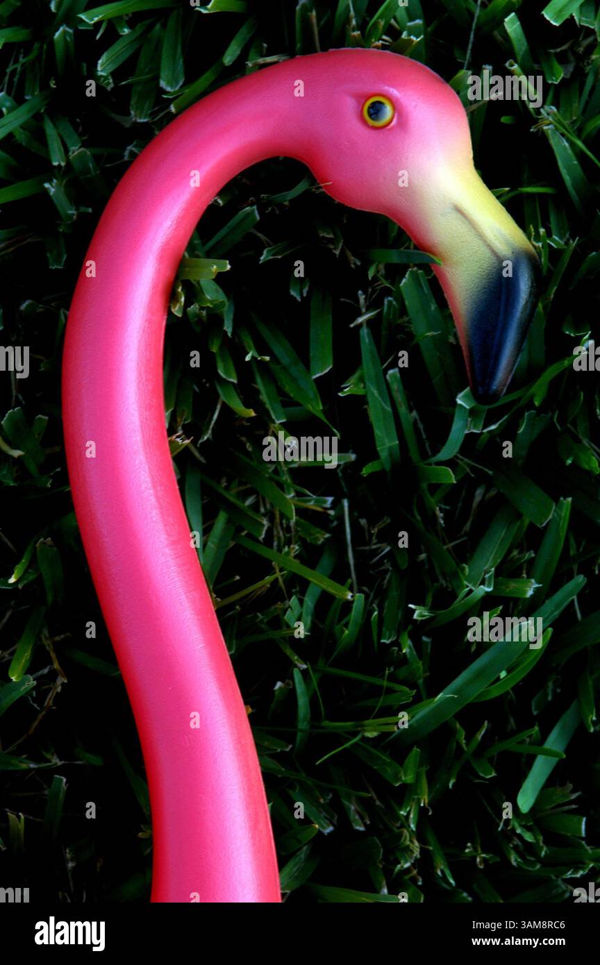 11. Oktober 2006 – USA – der rosa Plastik-Flamingo, eine Ikone des Kitschs und Floridas, ist heute eine vom Aussterben bedrohte Spezies. Aufgrund steigender Kosten plant das Unternehmen, das sie herstellt, die Produktion einzustellen. (John L. White/South Florida Sun-Sentinel/MCT) (Bild: © John L. White/mct/ZUMAPRESS.com) Stockfoto