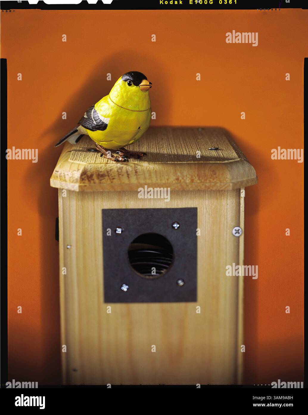 6. Februar 2007 - USA - die Vogelkamera in diesem Haus kann Bilder mit Ton direkt in Ihren Fernseher schicken. (Bill Hogan/Chicago Tribune/MCT) (Kreditbild: © Bill Hogan/mct/ZUMAPRESS.com) Stockfoto