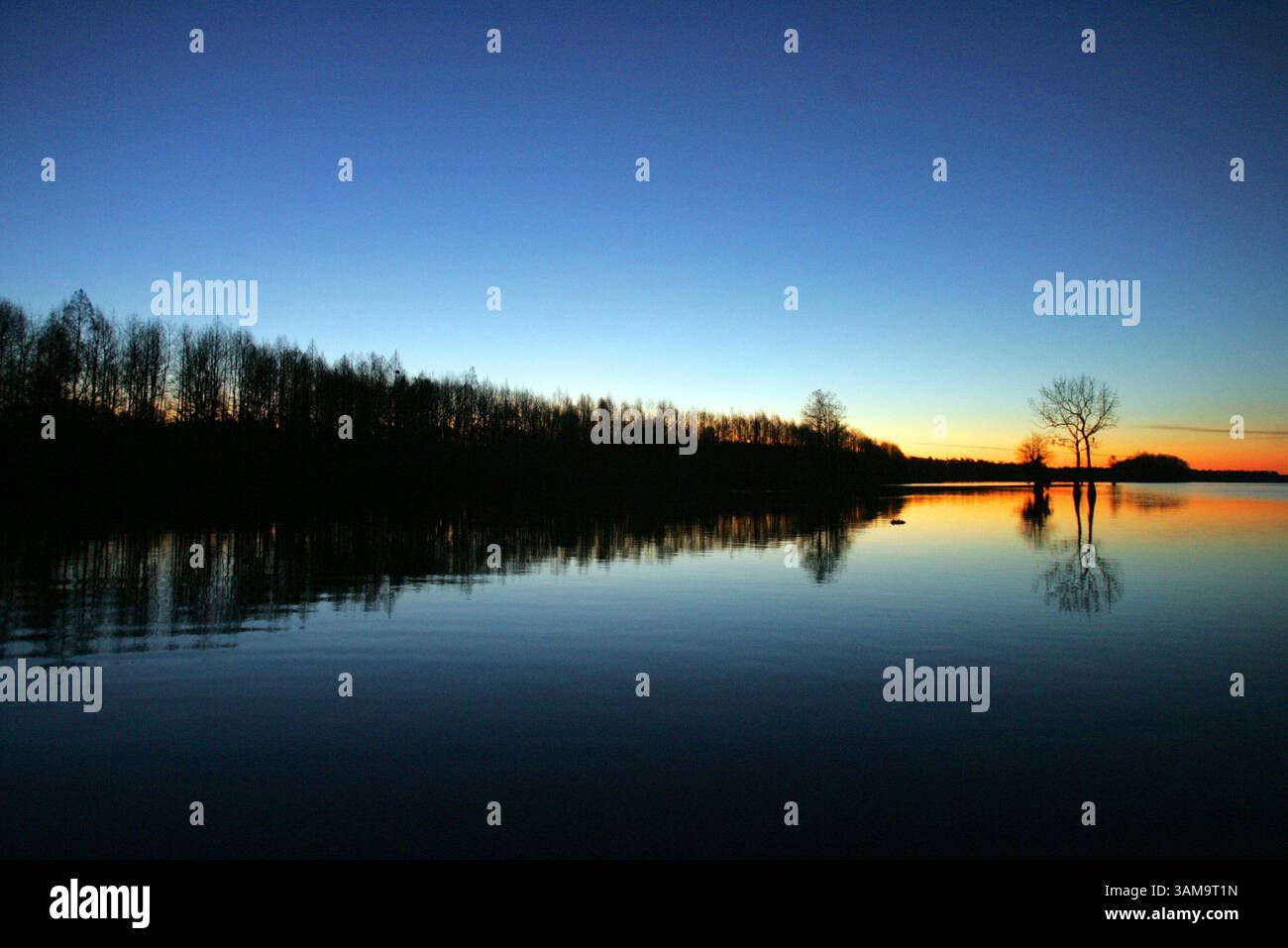 31. Januar 2007 - USA - die Sonne geht in der Nähe von Pack's Flats am Lake Marion in Rimini, South Carolina auf. Umweltschützer sagen, dass der Brückenbau diesen Lebensraum ruinieren würde, während die Existenz der Brücke das Wasser mit Abfluss und Müll verschmutzen würde, das Reisemuster der Tiere stören und den Sumpf seiner Stille berauben würde. (Gerry Melendez/The State/MCT) (Kreditbild: © Gerry Melendez/mct/ZUMAPRESS.com) Stockfoto 31. Januar 2007 - USA - die Sonne geht in der Nähe von Pack's Flats am Lake Marion in Rimini, South Carolina auf. Umweltschützer sagen, dass der Brückenbau diesen Lebensraum ruinieren würde, während die Existenz der Brücke das Wasser mit Abfluss und Müll verschmutzen würde, das Reisemuster der Tiere stören und den Sumpf seiner Stille berauben würde. (Gerry Melendez/The State/MCT) (Kreditbild: © Gerry Melendez/mct/ZUMAPRESS.com) Stockfoto