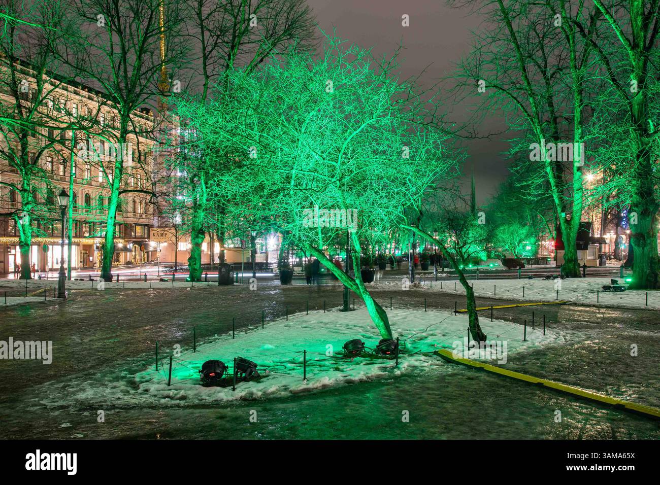 Just Green von der Künstlerin Kari Kola beim Lux Helsinki 2025 Light Art Festival. Esplanadi Park beleuchtet mit grünen Lichtern. Helsinki, Finnland. Stockfoto
