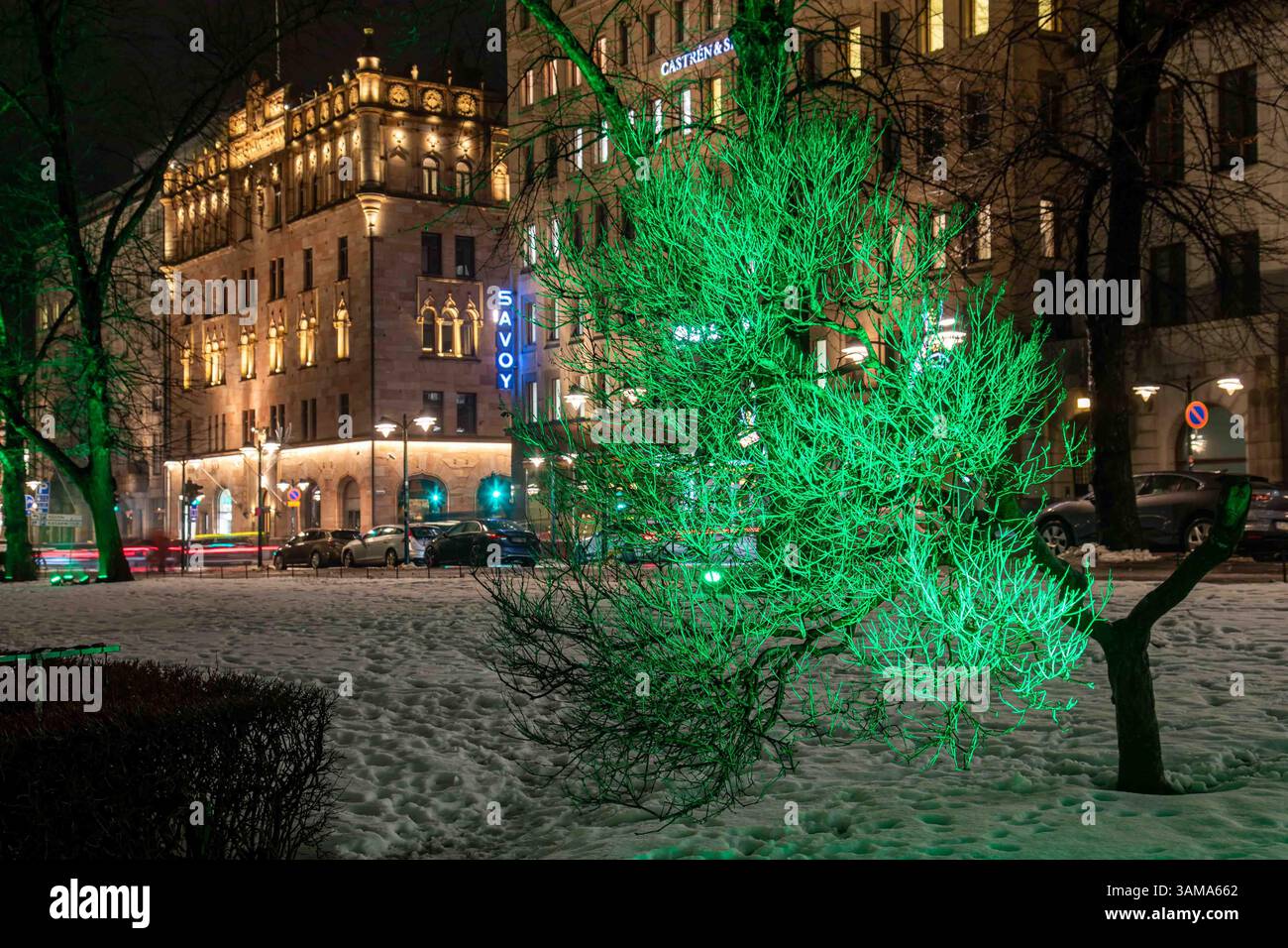 Just Green von Kari Kola beim Lux Helsinki 2024 Light Art Festival. Beleuchteter Baum im Esplanadi Park in Helsinki, Finnland. Stockfoto