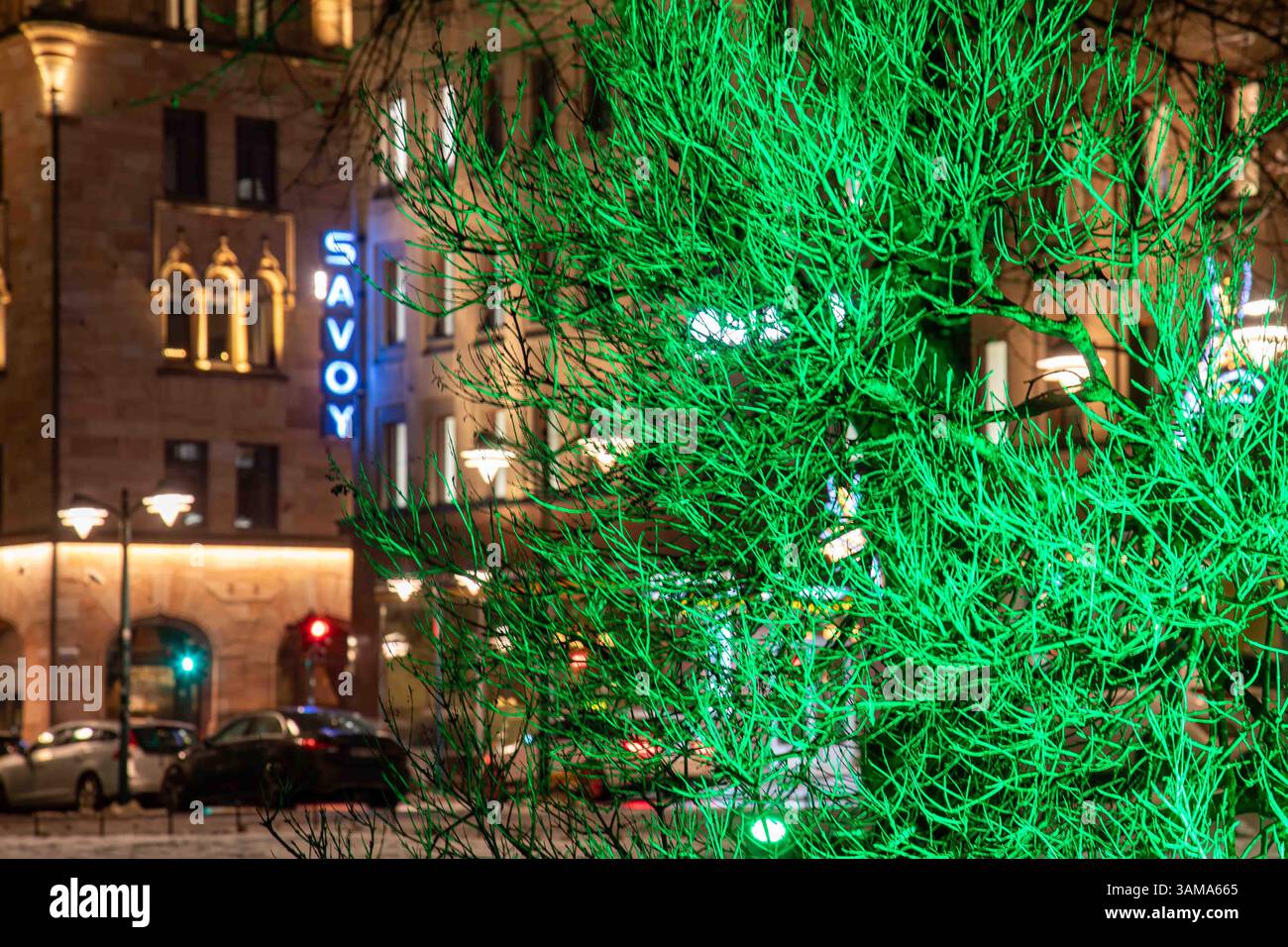 Just Green von Kari Kola beim Lux Helsinki 2025 Light Art Festival. Beleuchteter Baum im Esplanadi Park in Helsinki, Finnland. Stockfoto