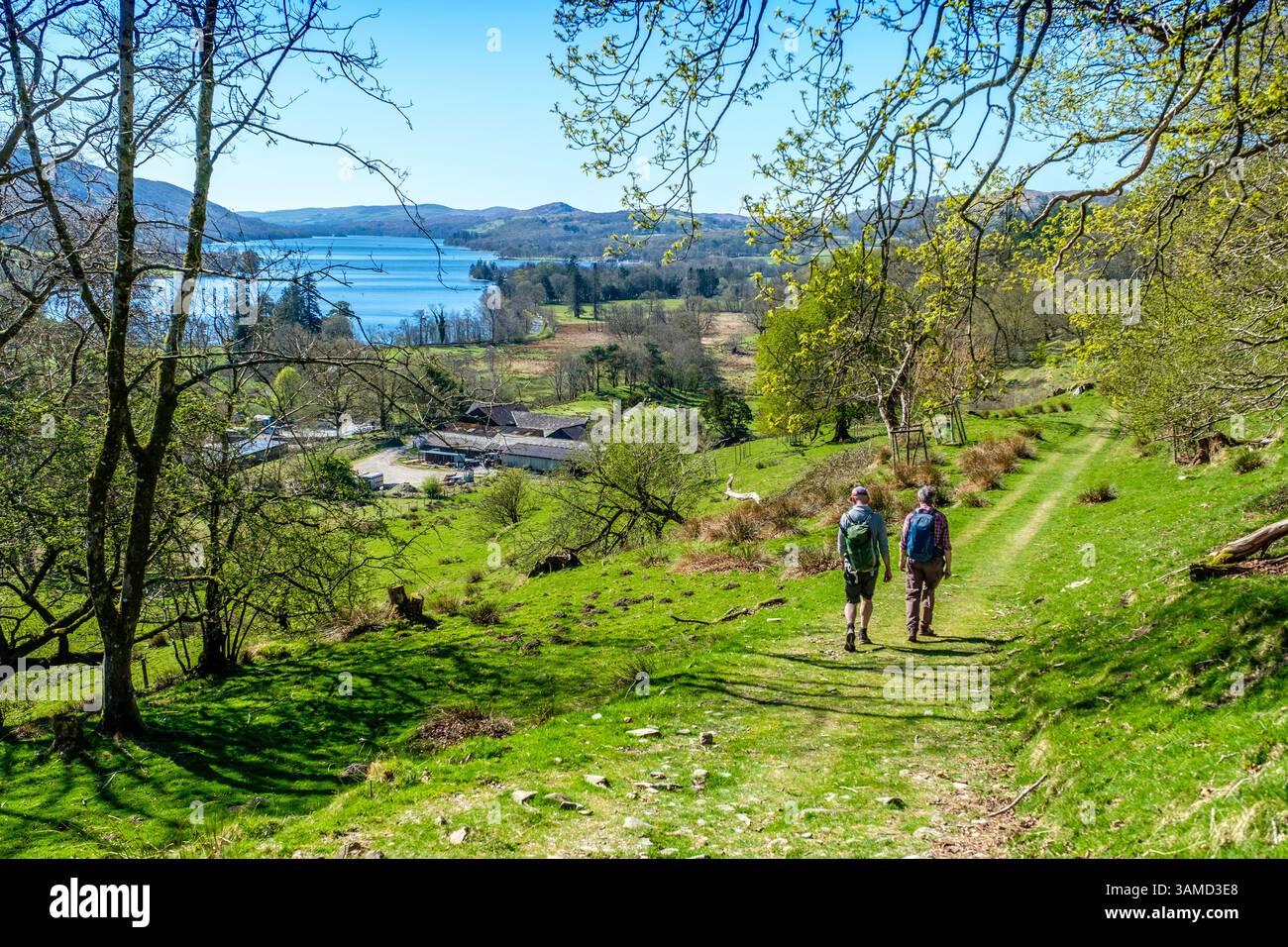 Zwei Wanderer in der Nähe von Coniston Water im Lake District National Park Stockfoto