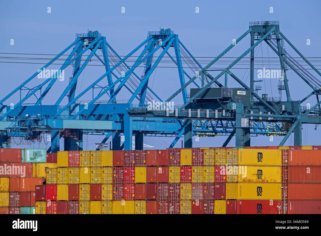 Portalkrane und gestapelte Container auf Containerschiffen, die am Containerterminal im Hafen von Antwerpen, Flandern, Belgien, angedockt werden Stockfoto