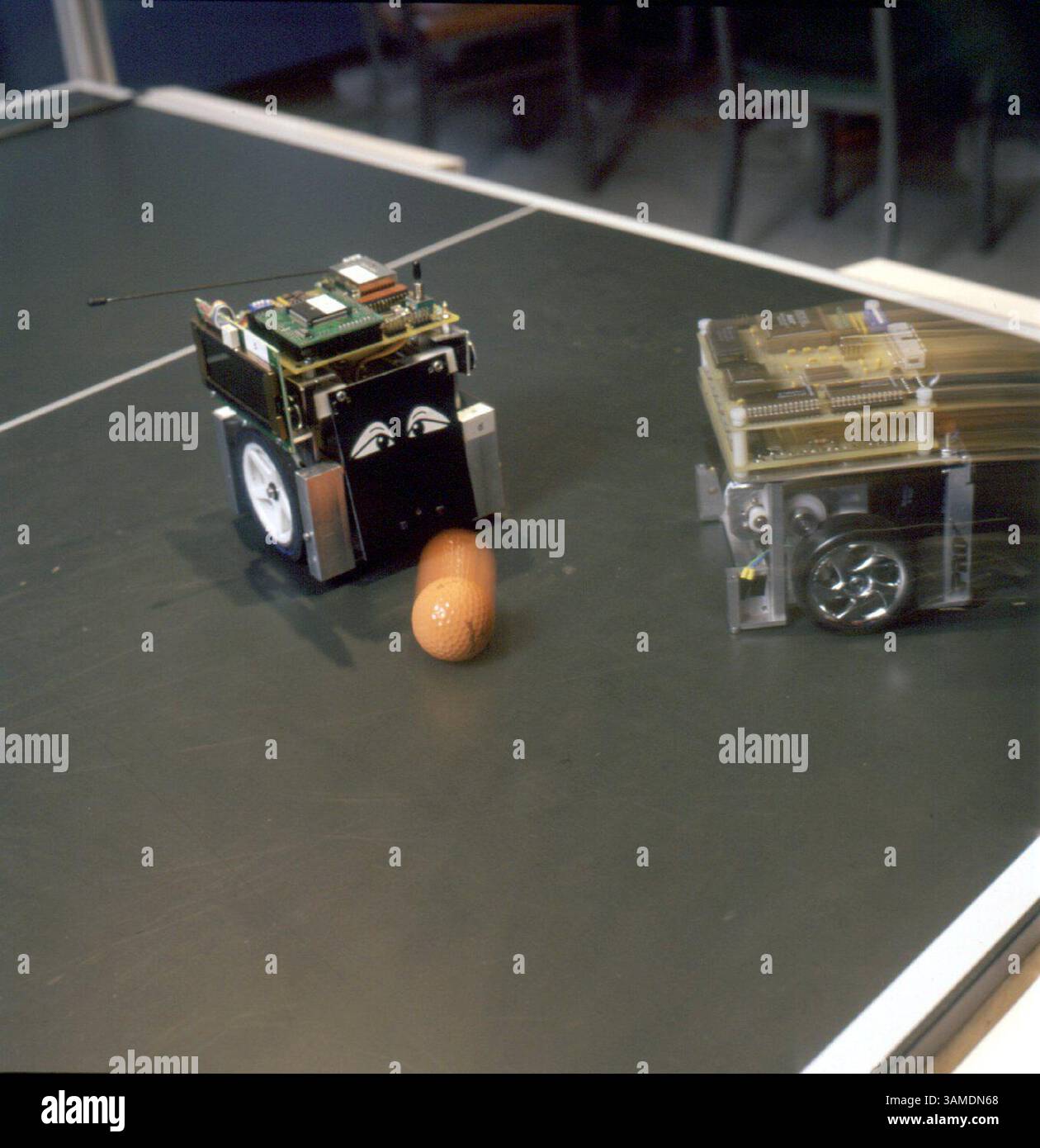 29. Februar 2000 - USA - KRT US NEWS STORY SLUGGED: SC-ROBOTER KRT FOTO VON FRANK DIMEO/CORNELL UNIVERSITY (KRT16) ITHACA, NEW YORK 29. Februar-- zwei von Big Rots winzigen, aber unglaublich intelligenten Robotern zeigen, wie man einen Ball auf einem Spielfeld dribbelt. Teams von fahrbaren Robotern lernen Fußball zu spielen, Müll zu sammeln, Möbel zu bewegen, einen Raum oder ein Feld zu kartieren. Bis 2050 hoffen die Enthusiasten auf ein Roboterteam, das intelligent und agil genug ist, um die Weltmeister des menschlichen Fußballs zu besiegen. (KRT) AP PL BL KD 2000 (Vert) (lde) (Kreditbild: © Cornell University/mct/ZUMAPRESS.com) Stockfoto