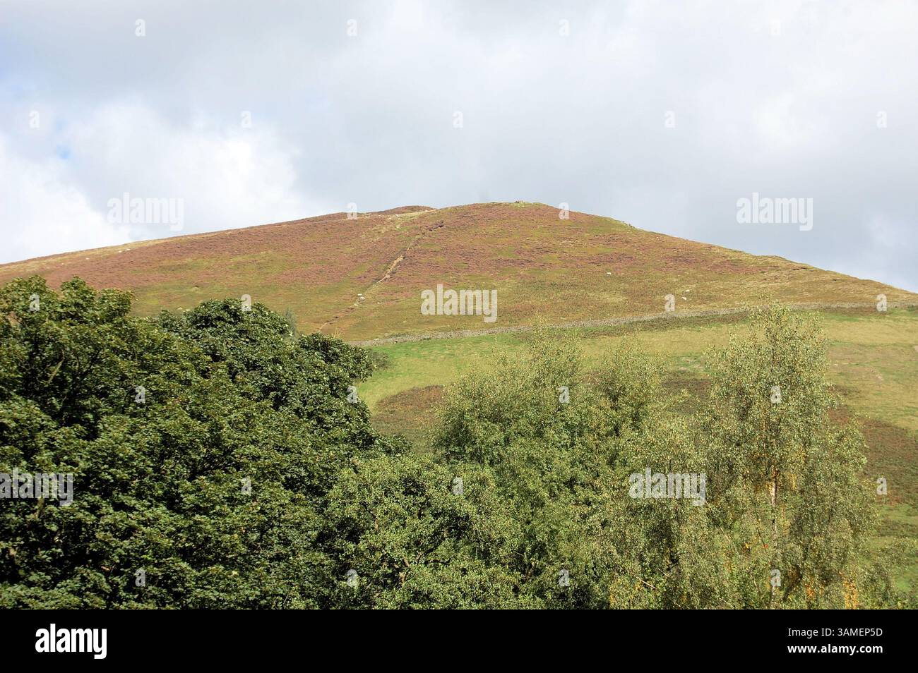 Edale ist der Beginn des berühmten Fernwanderweges, bekannt als Pennine Way. Sie beginnt im Peak District und endet in Schottland Stockfoto