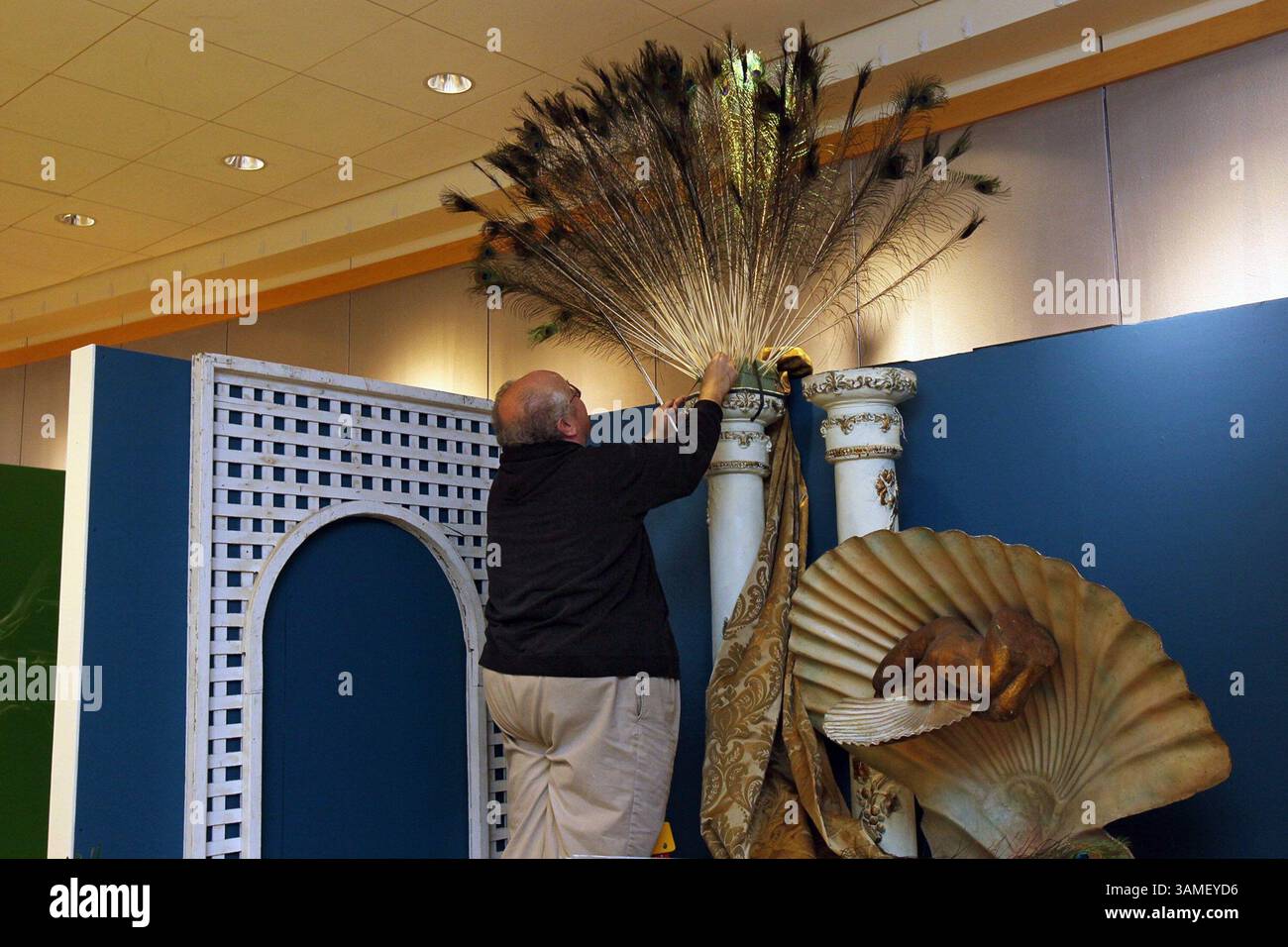 29. Januar 2014 - Cleveland, OHIO, USA - Charles Phillips von Beautiful Flowers in Cleveland, verwendet Pfauenfedern, um seinen barocken Fantasy-Raum zu dekorieren, nur einer von mehreren Avantgarde-Räumen, die von Area Interior Designern für die Interior Design Showcase im Cleveland Botanical Garden am 29. Januar 2014 in Cleveland, Ohio, mit einer einzigartigen Orchideenpalette geschaffen wurden. (Kreditbild: © Ed Suba Jr/MCT/ZUMAPRESS.com) Stockfoto